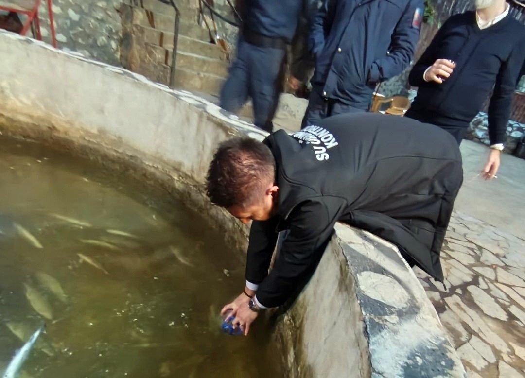 Galyan Deresi balık ölümü Sakarya İl Tarım Müdürlüğü