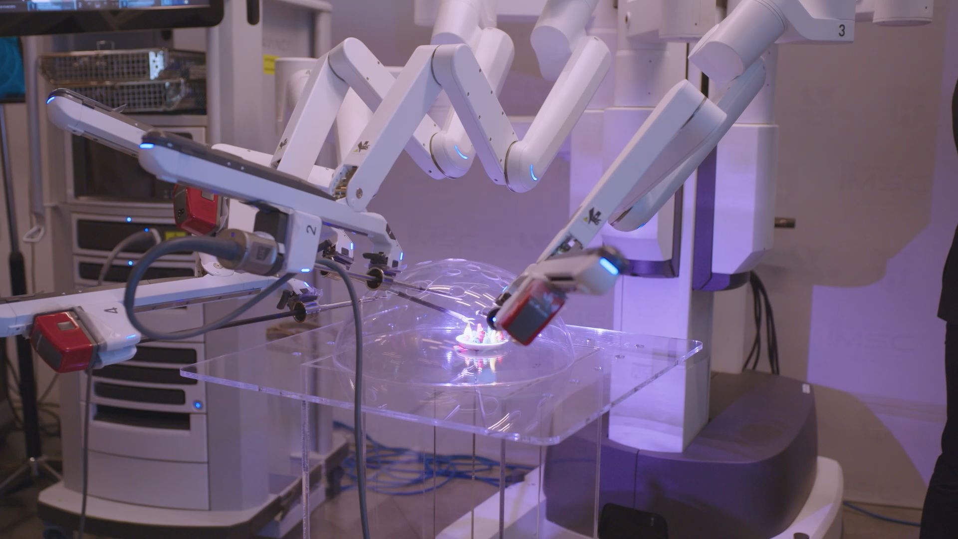 Cansağlığı Kongresi Katılımcıları