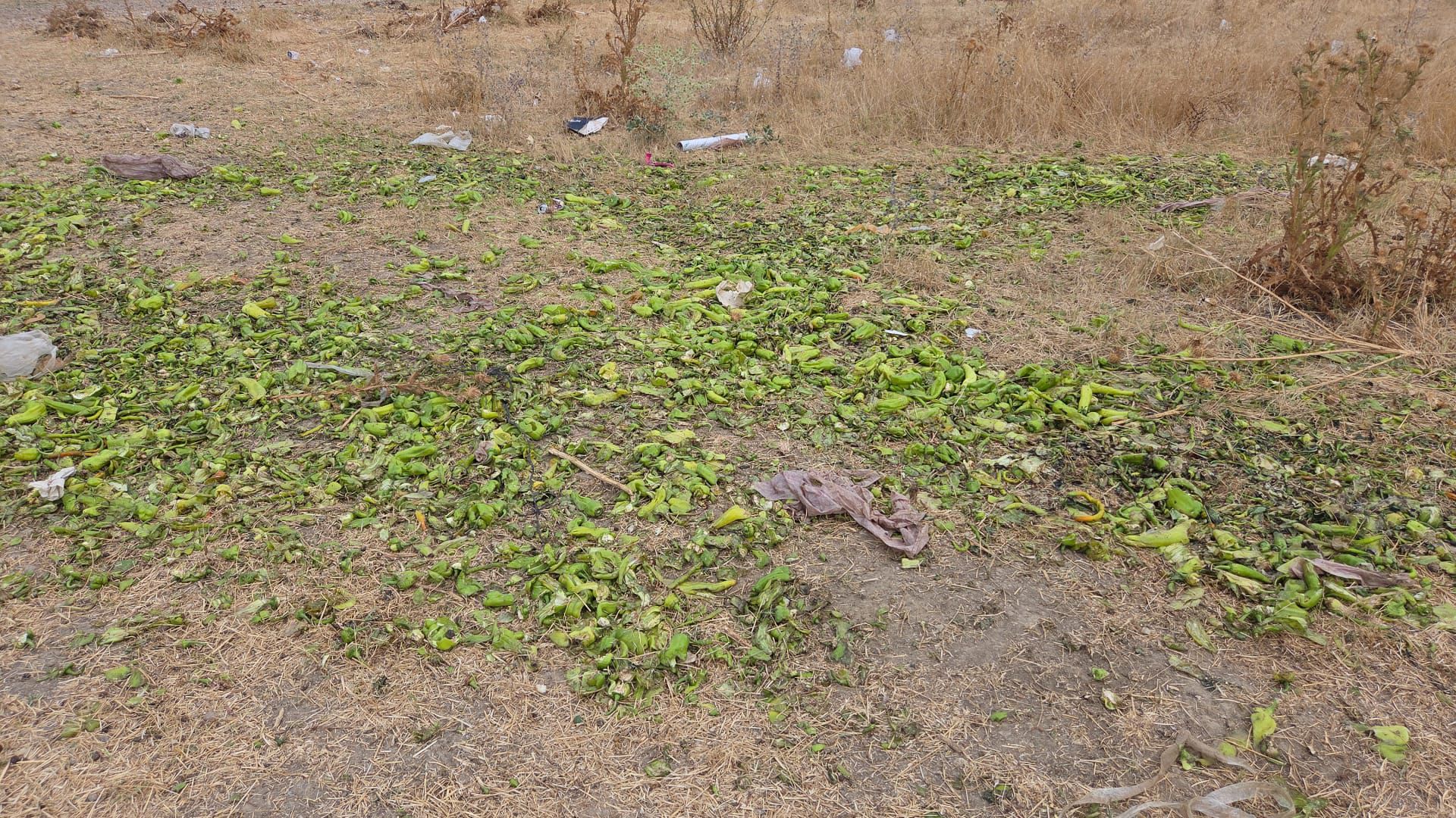 Ticaret Bakanlığı Biber Görüntüleri Manipülasyon