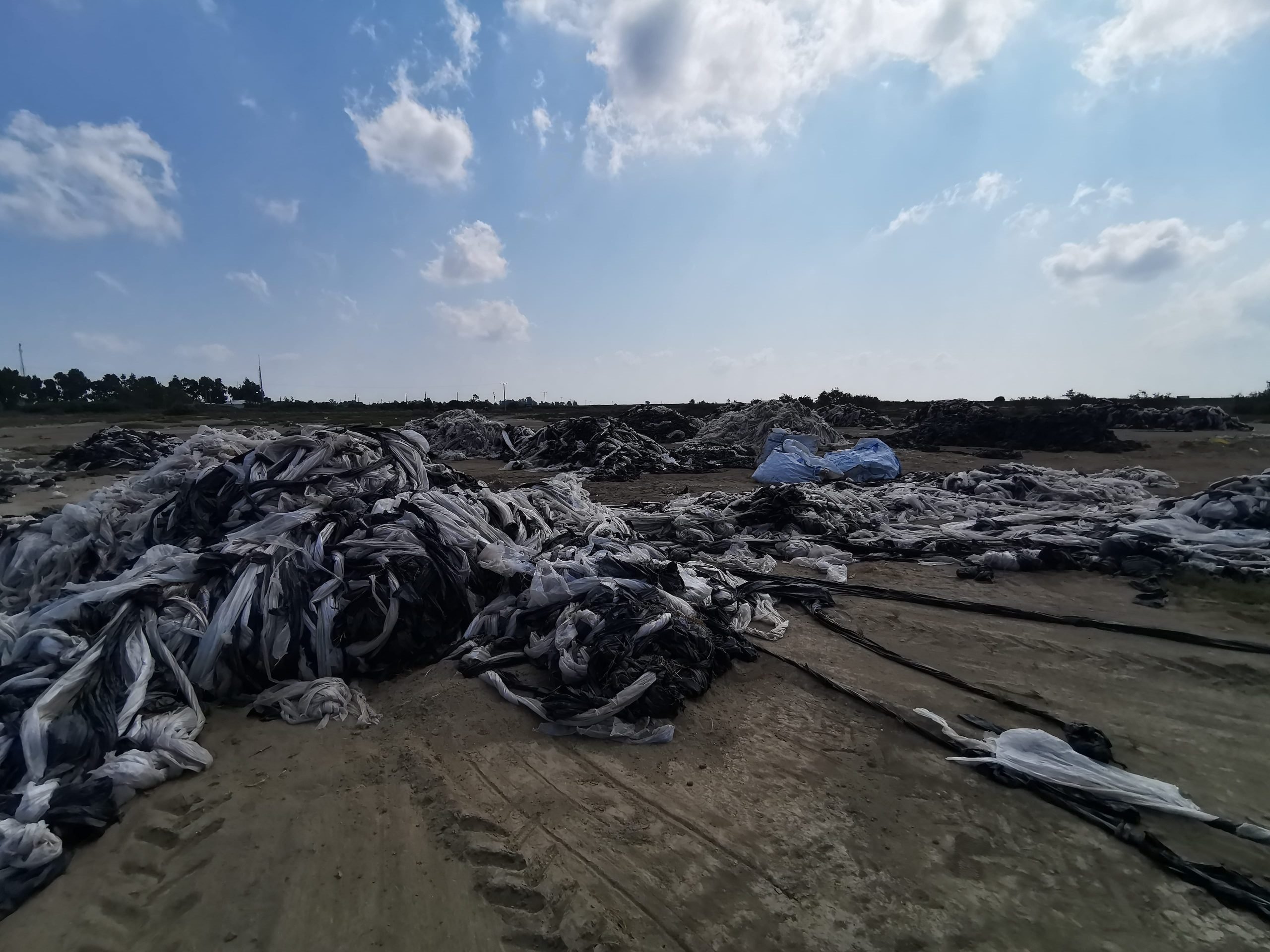 Tek Kullanımlık Plastikler