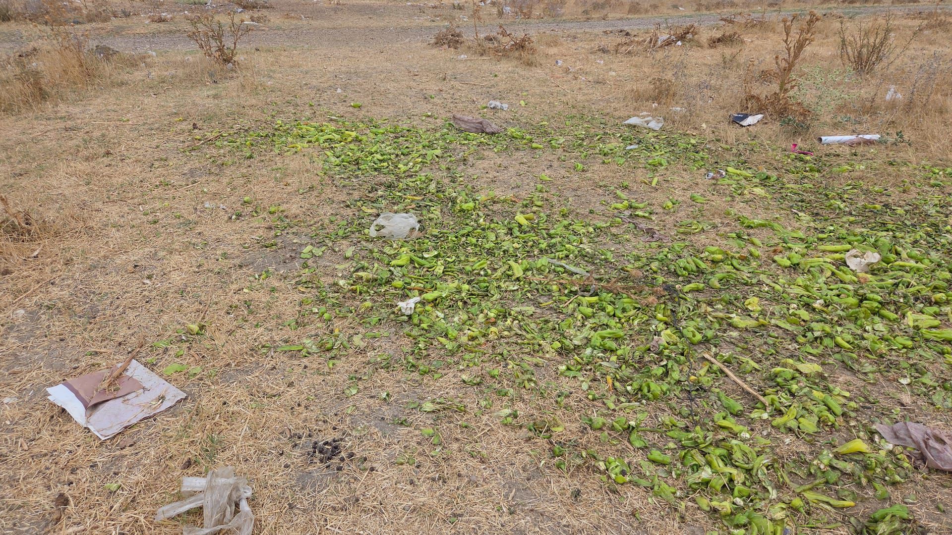 Ticaret Bakanlığı Yalan Haber Açıklaması