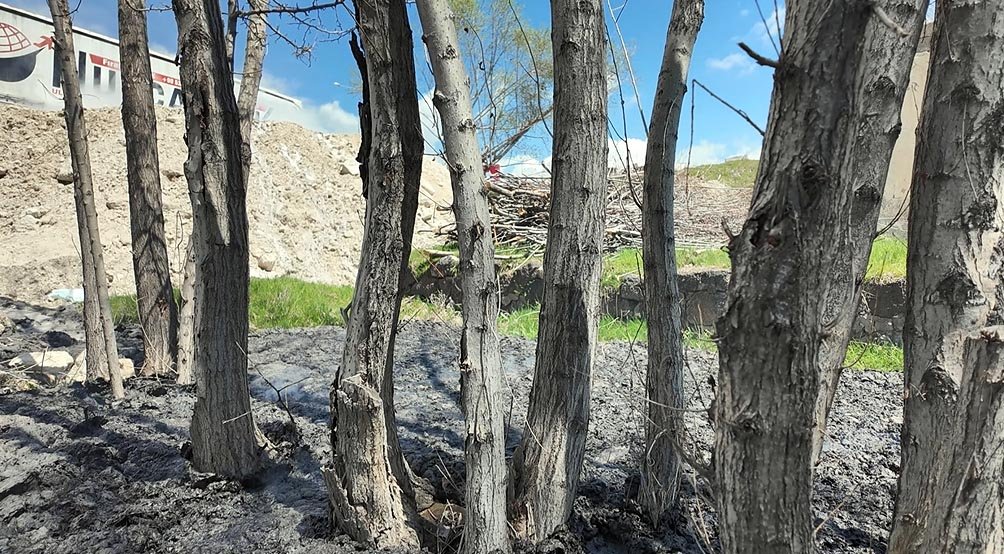 Van Erciş gübre yüklü TIR yangını