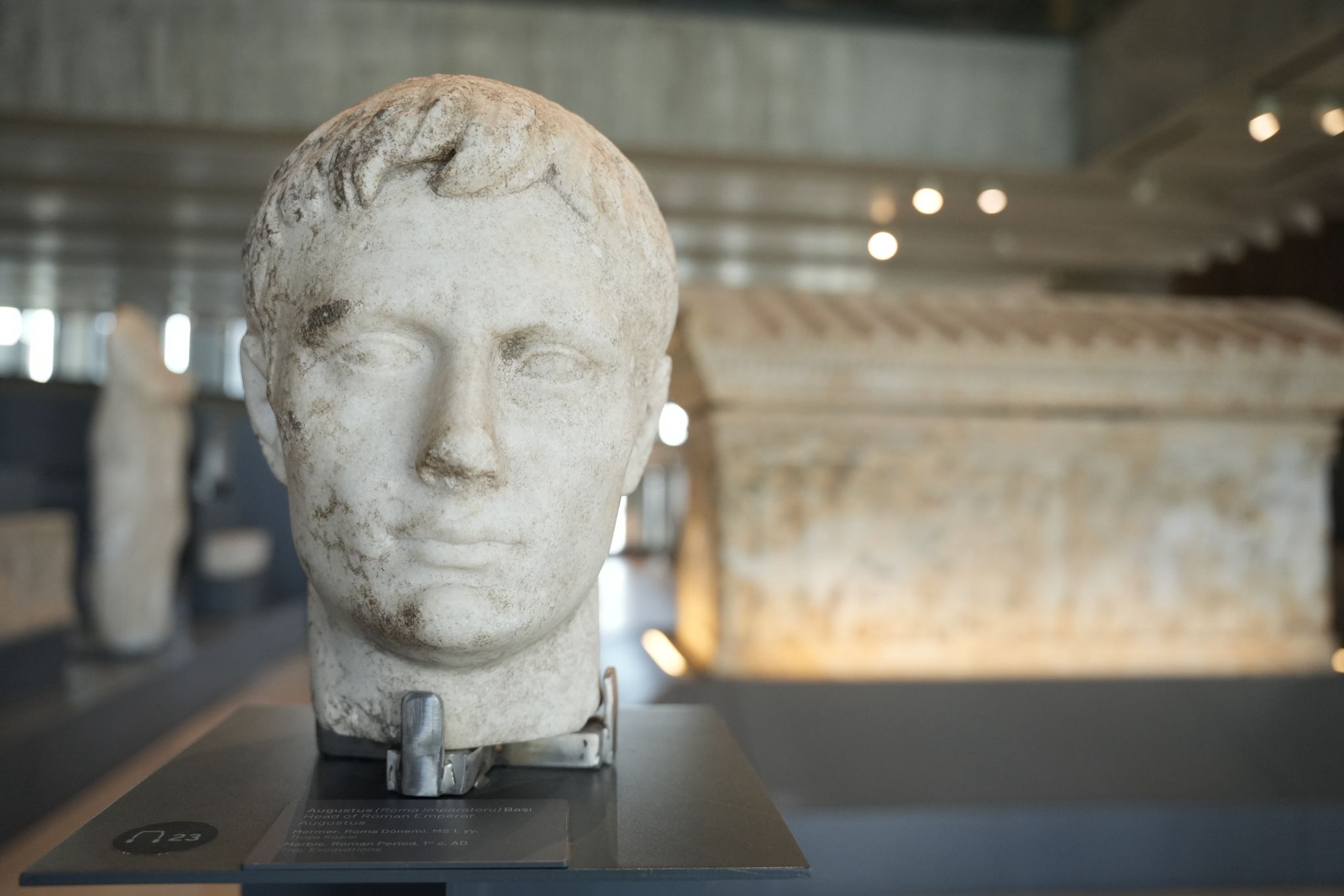 Troya Atı replikası Kolezyum