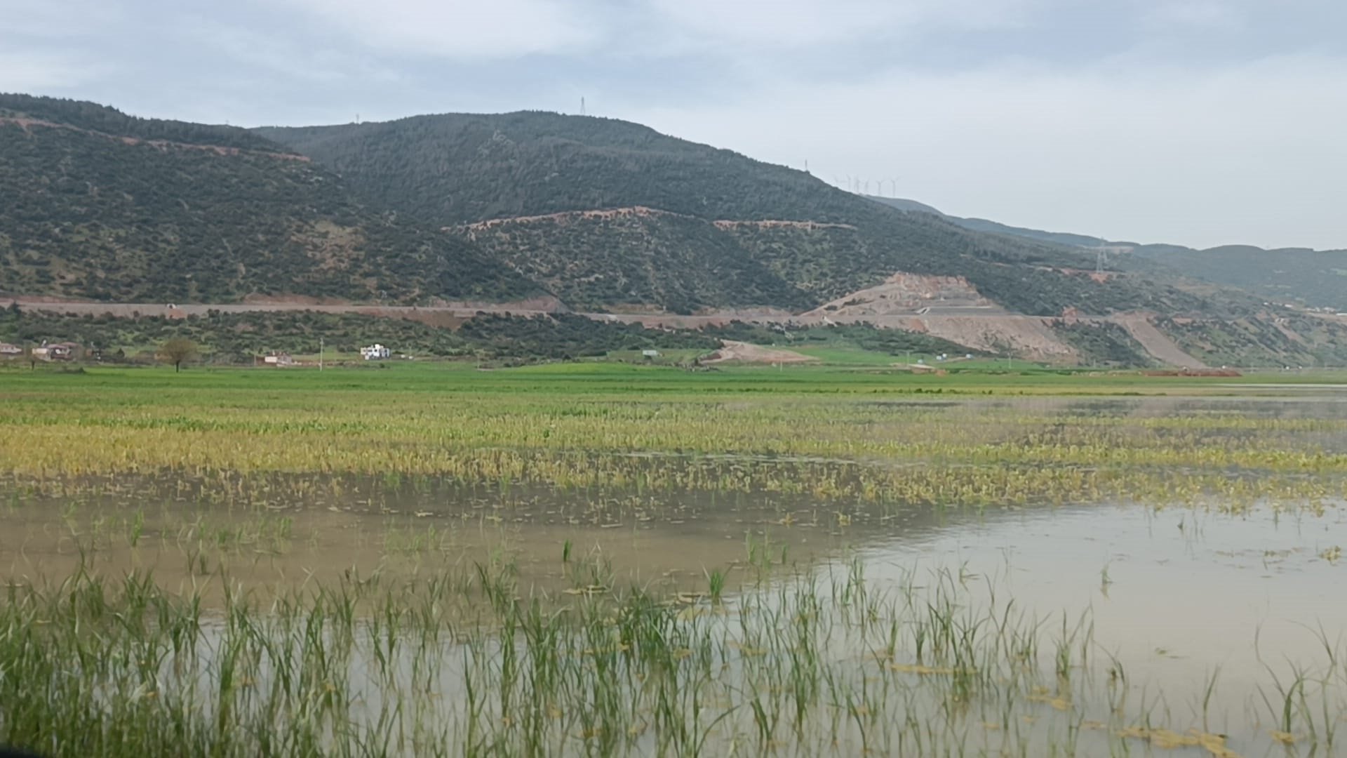 İslahiye Kaymakamı Mehmet Soylu tarım arazisi inceleme