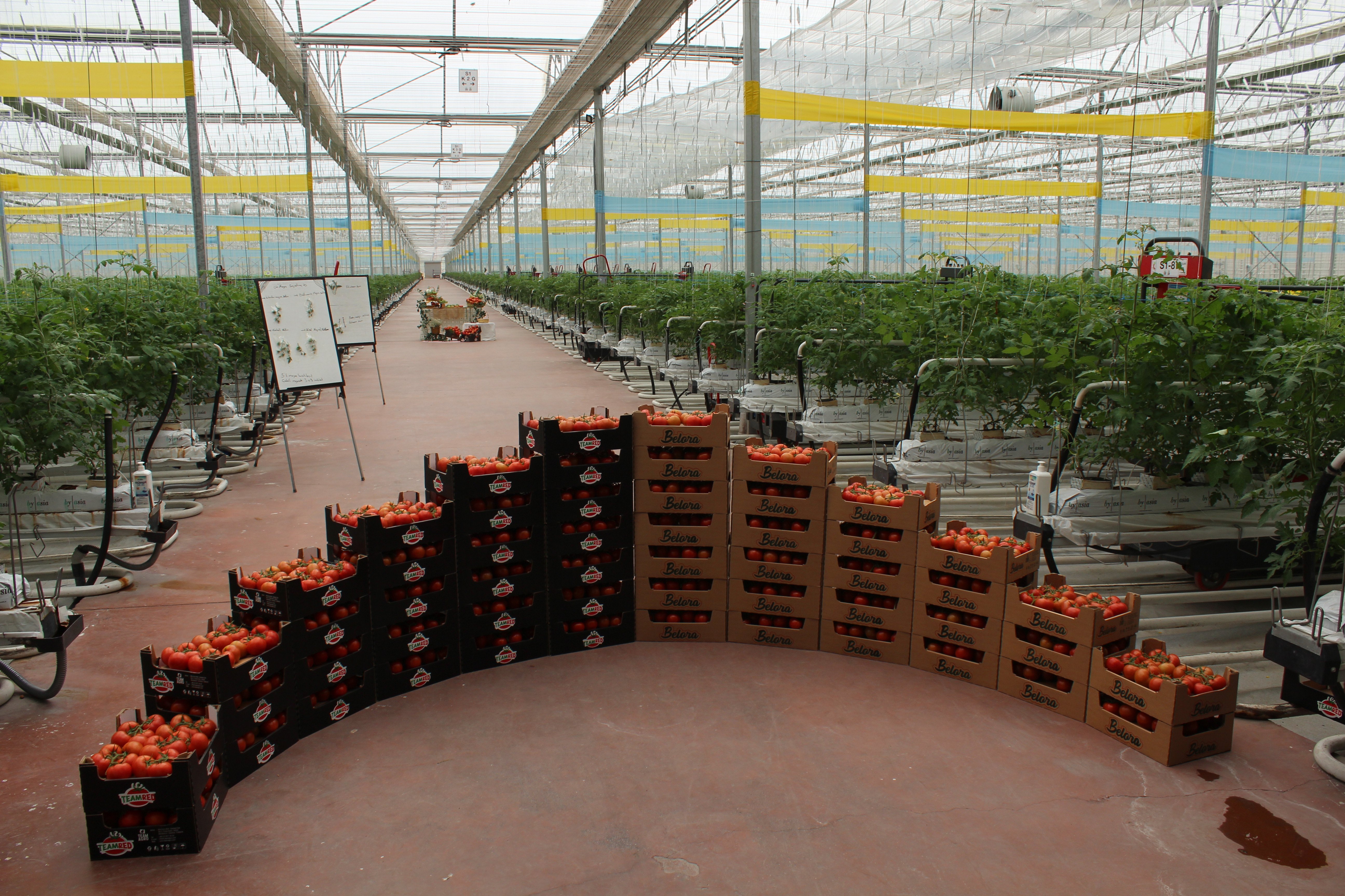 Bakan Yumaklı çiftçilerle