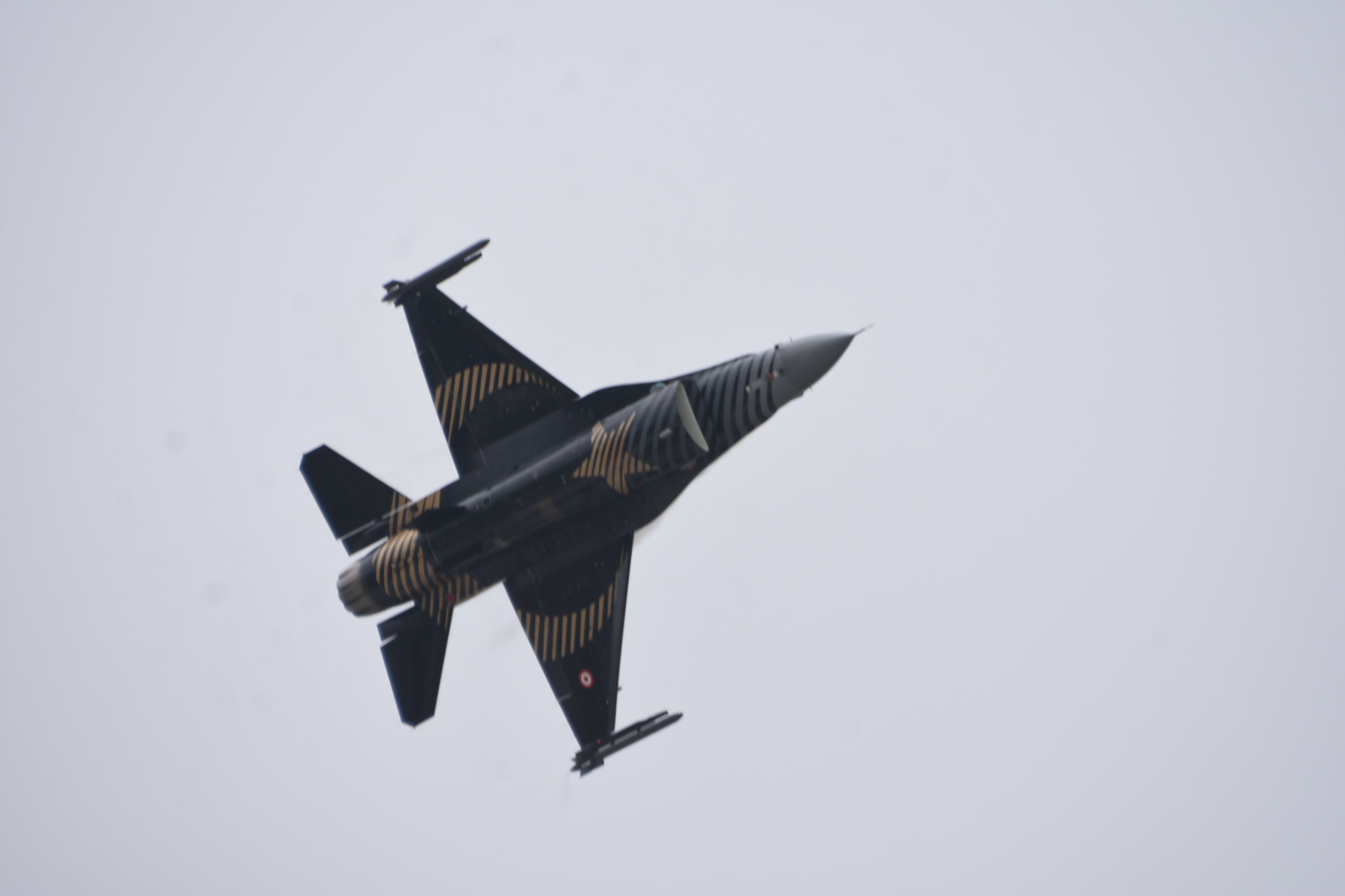 İleri Hava Kontrolör gösterisi