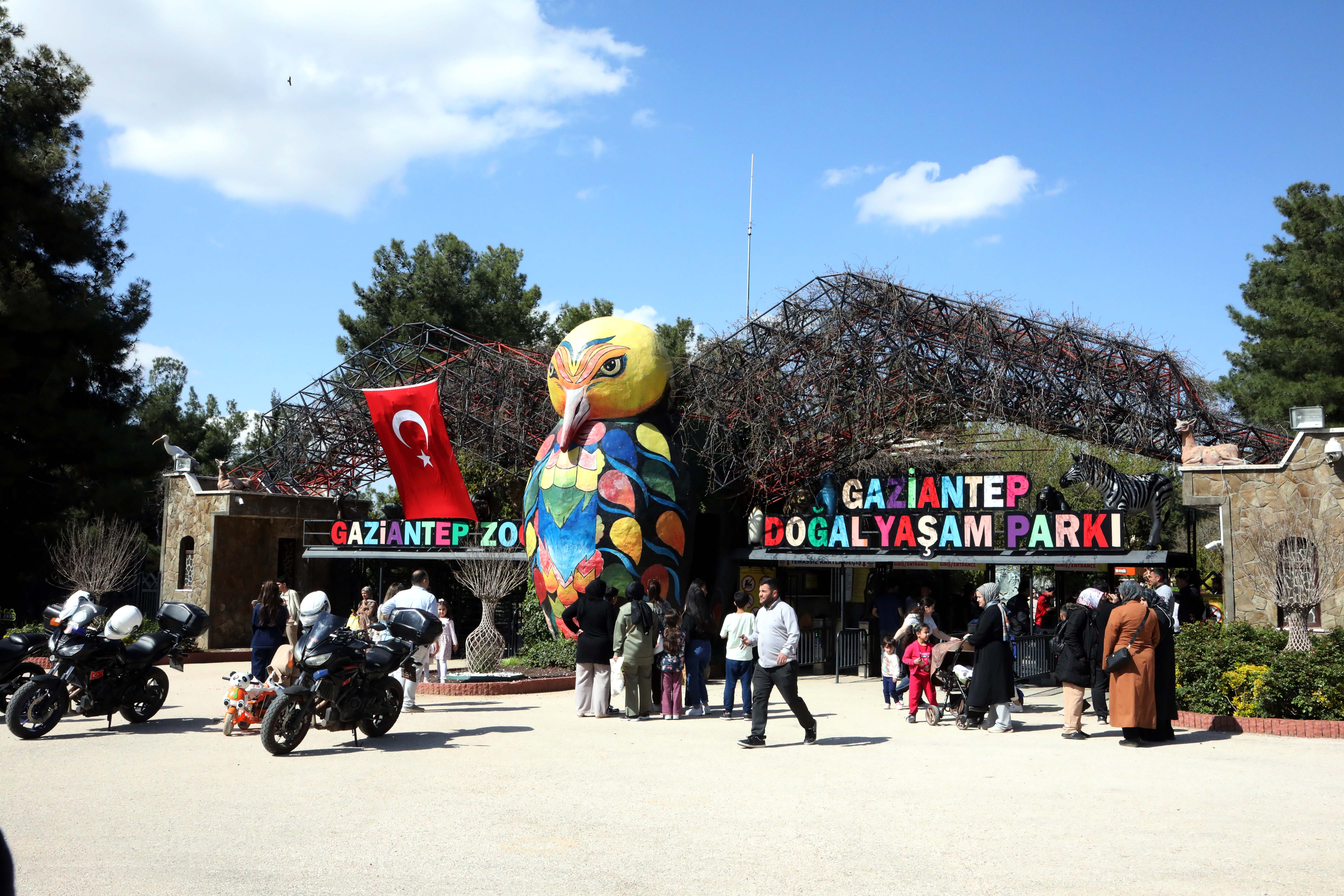 Gaziantep Büyükşehir Belediye Başkanı Fatma Şahin yavru zürafayı ziyaret etti
