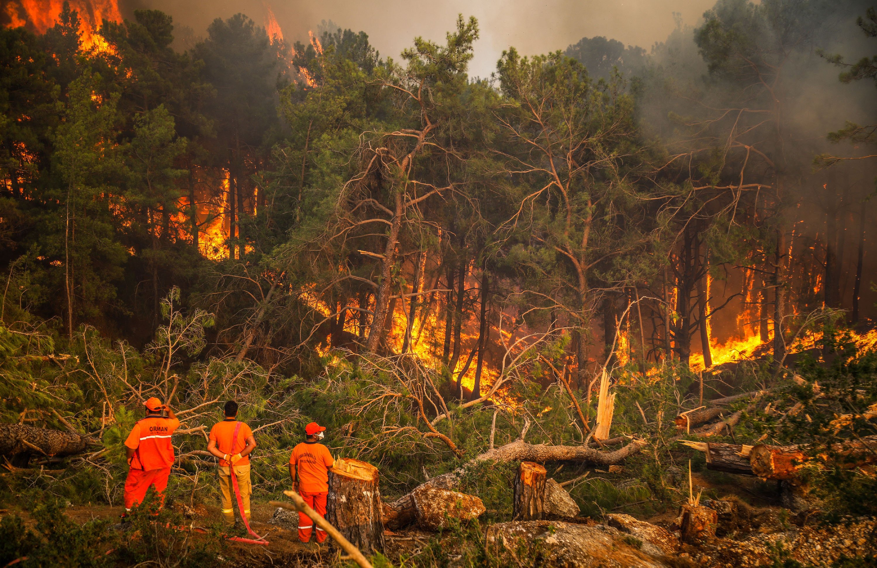 Orman Koruma Ekipleri