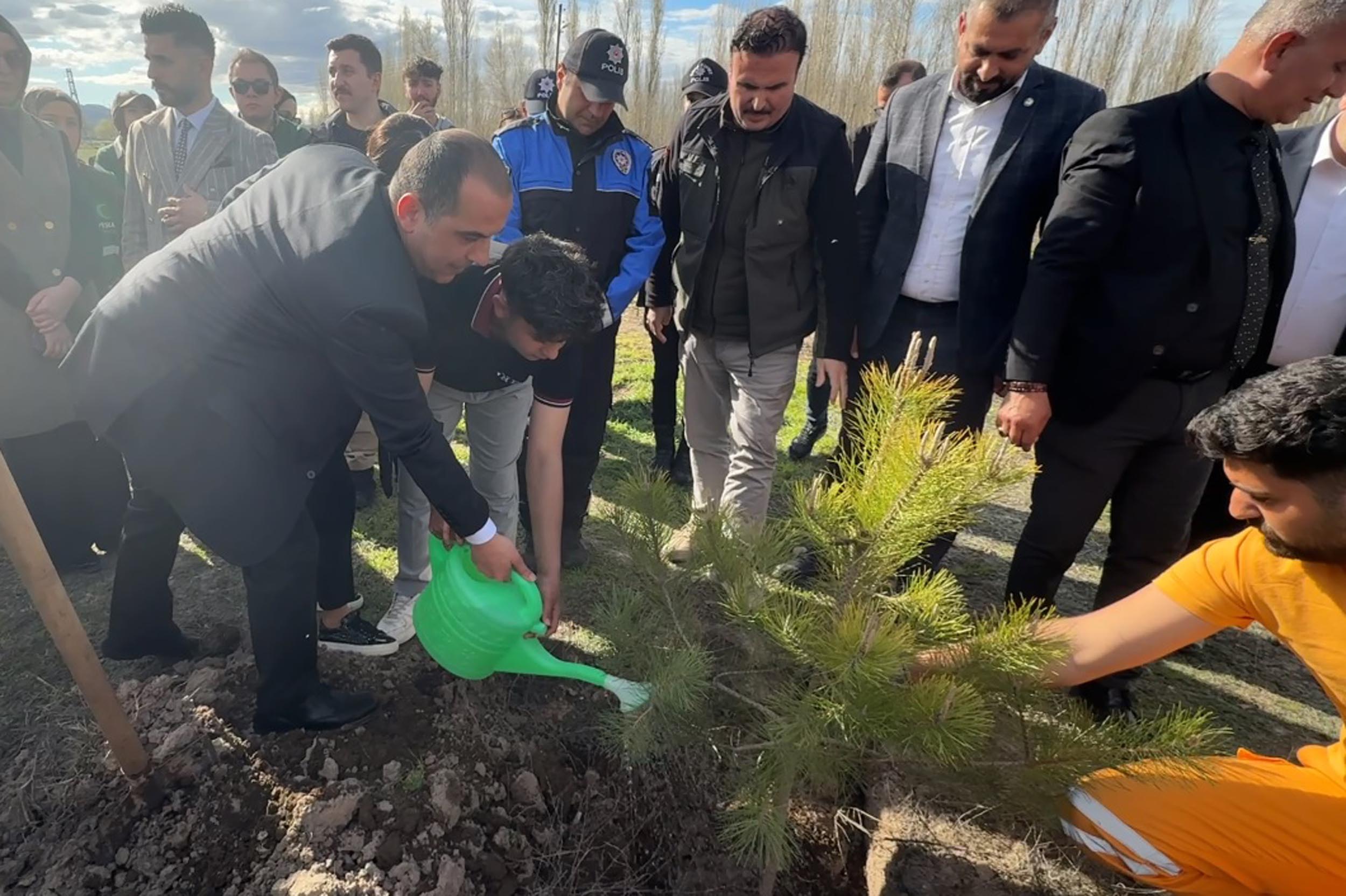 Vali Fırat Taşolar ve Muhammed Deniz Arda fidan dikiyor