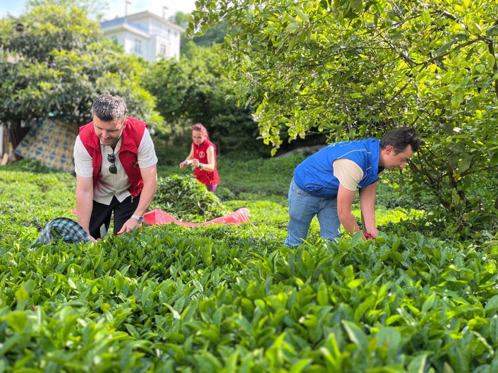 Gençlik ve Spor Bakanlığı Tarım Projesi