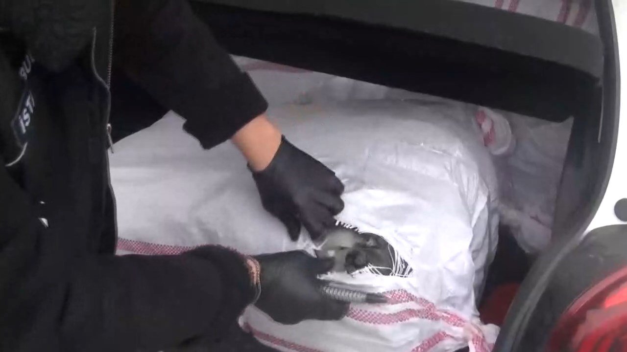 Uyuşturucu operasyonu gözaltına alınan şüpheliler