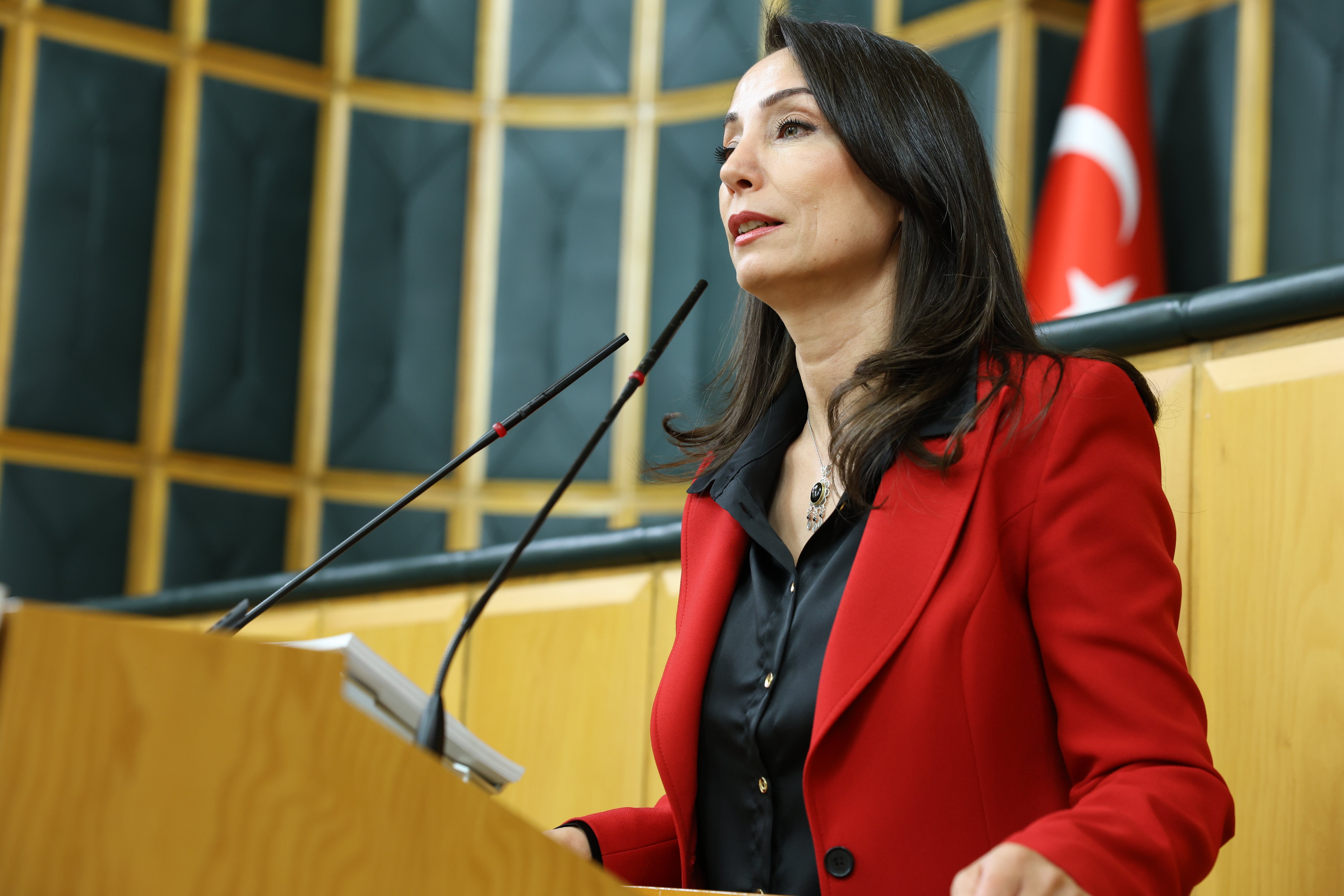 Tülay Hatimoğulları DEM Parti TBMM grup toplantısı