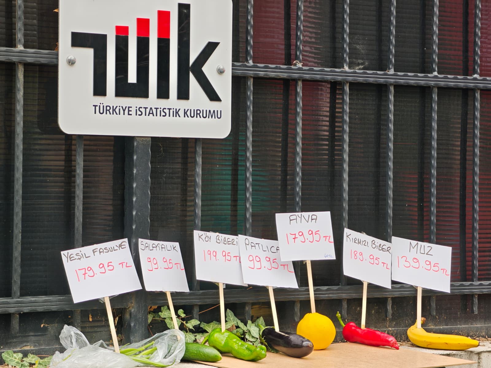 Birleşik Kamu-İş TÜİK protestosu Orhan Yıldırım