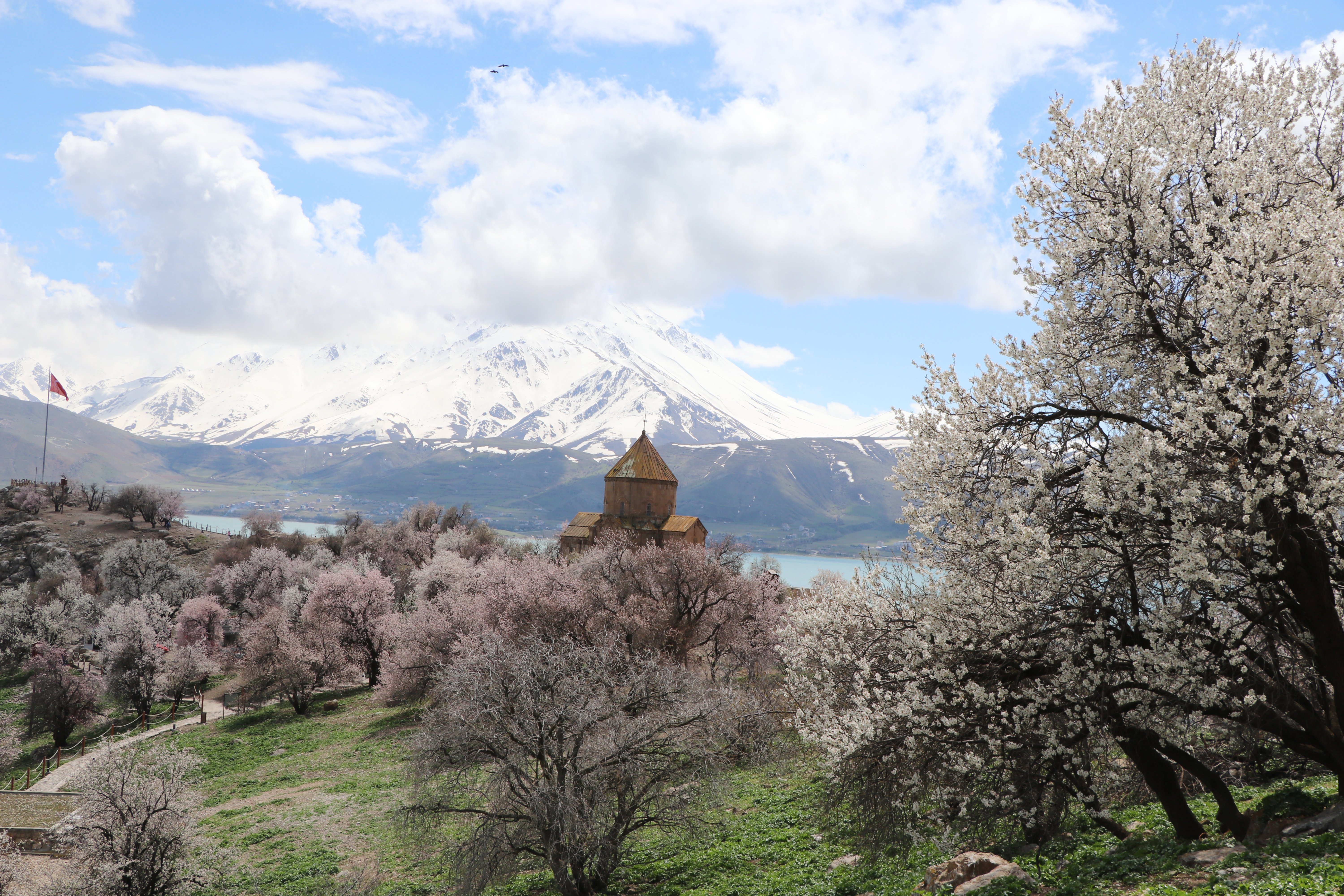 Akdamar Adası badem çiçekleri