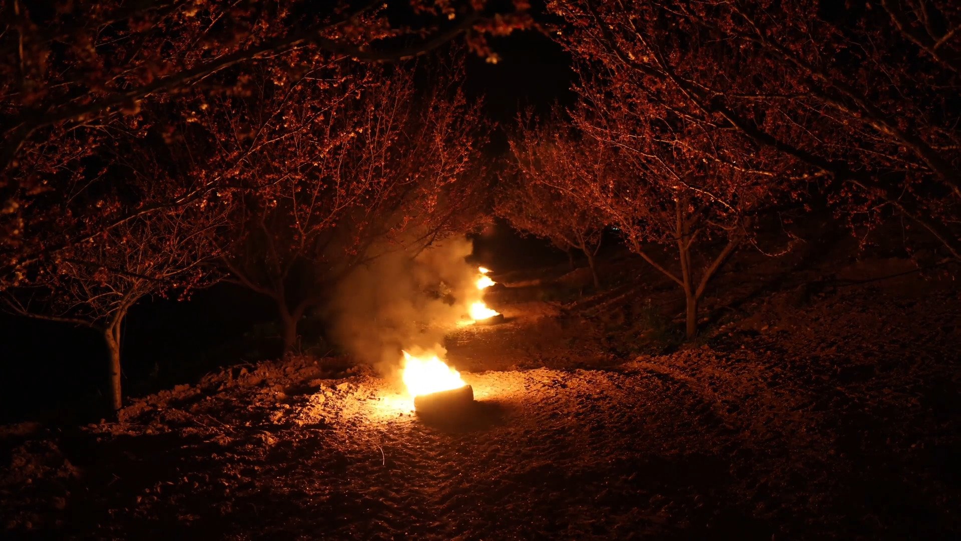 Tarım ve Orman İl Müdürlüğü yetkilisi açıklama