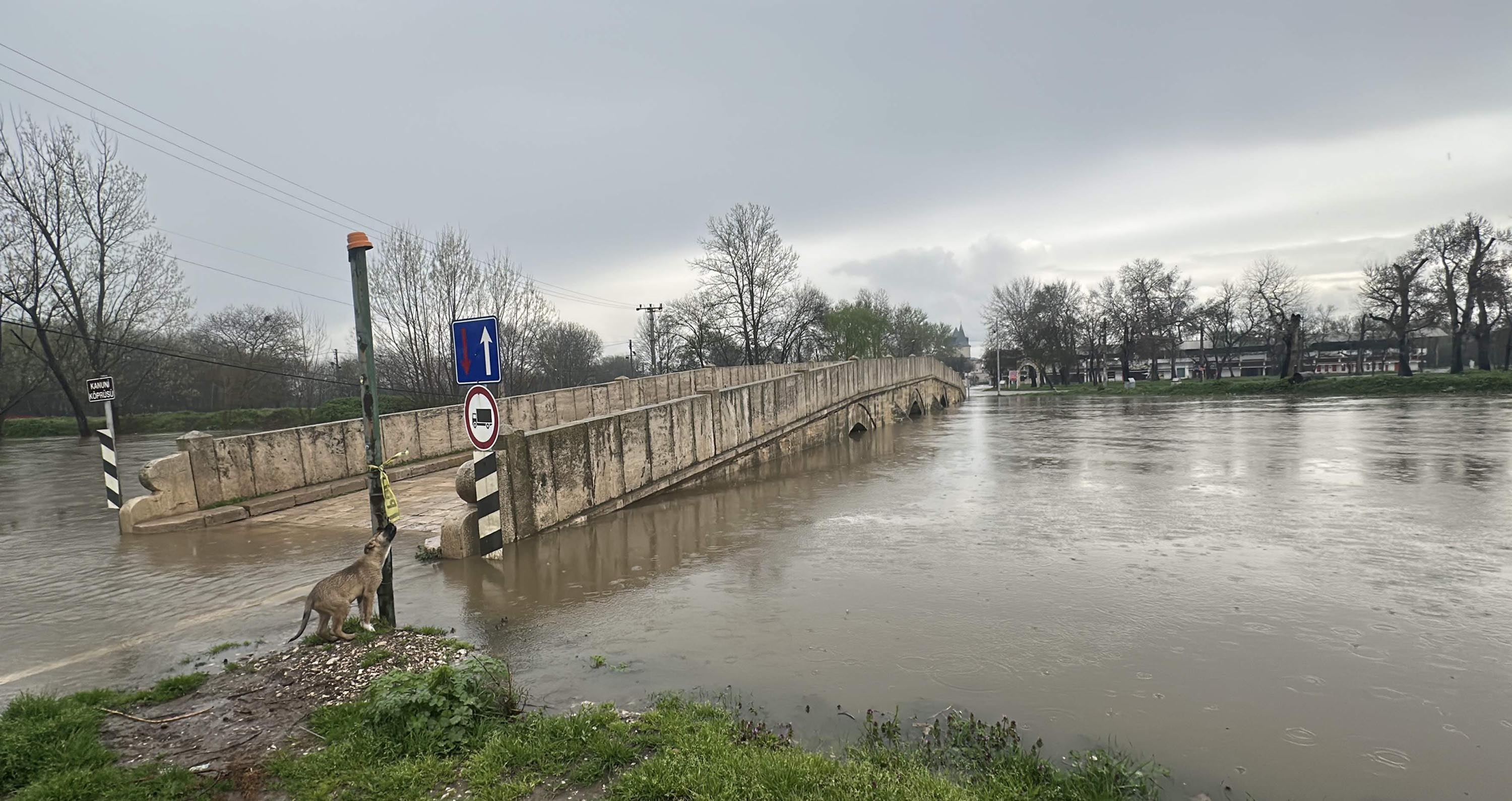 Meriç Nehri debisi artışı taşkın riski