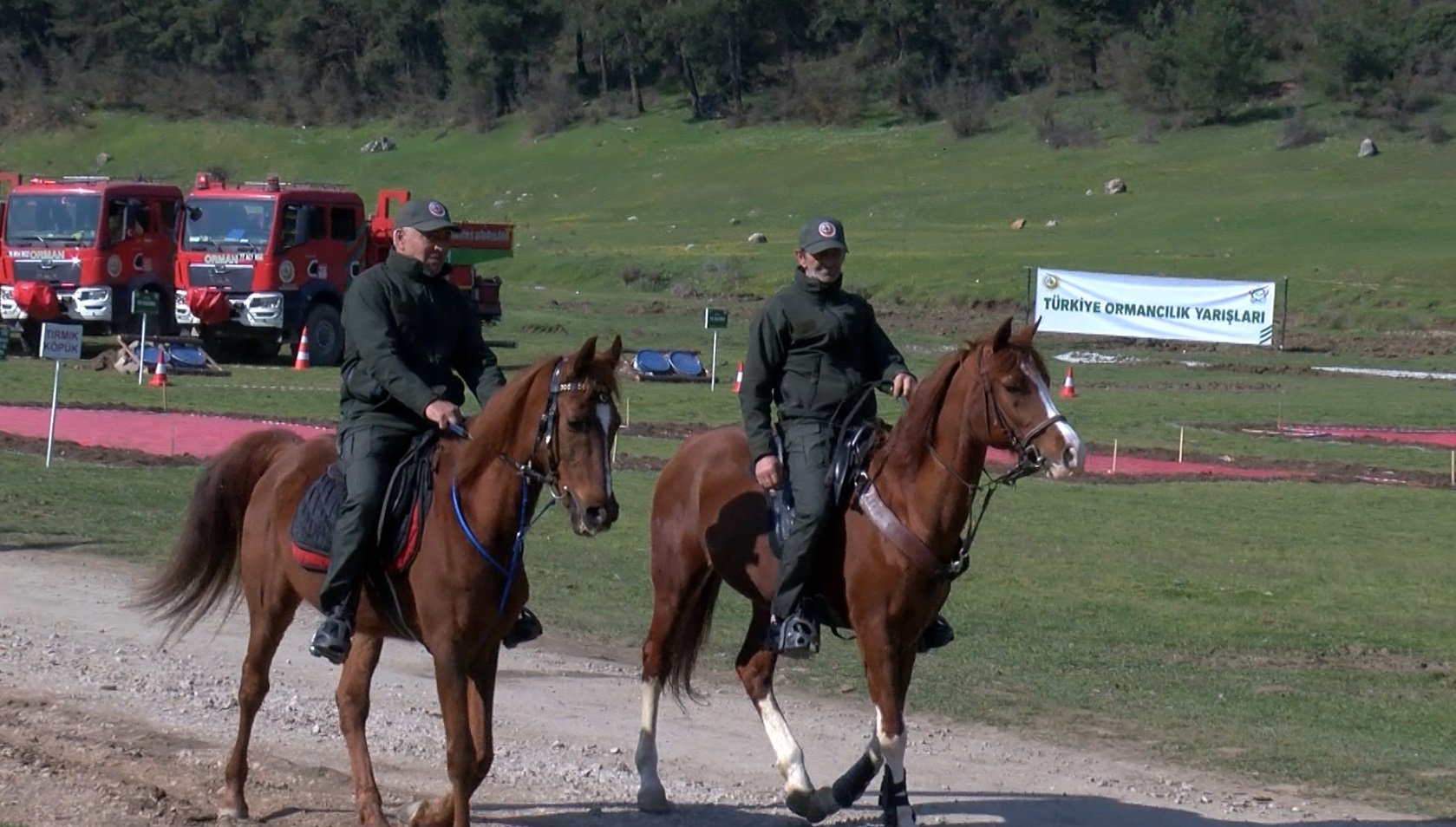 Yanan Orman Alanında Ağaçlandırma Çalışması