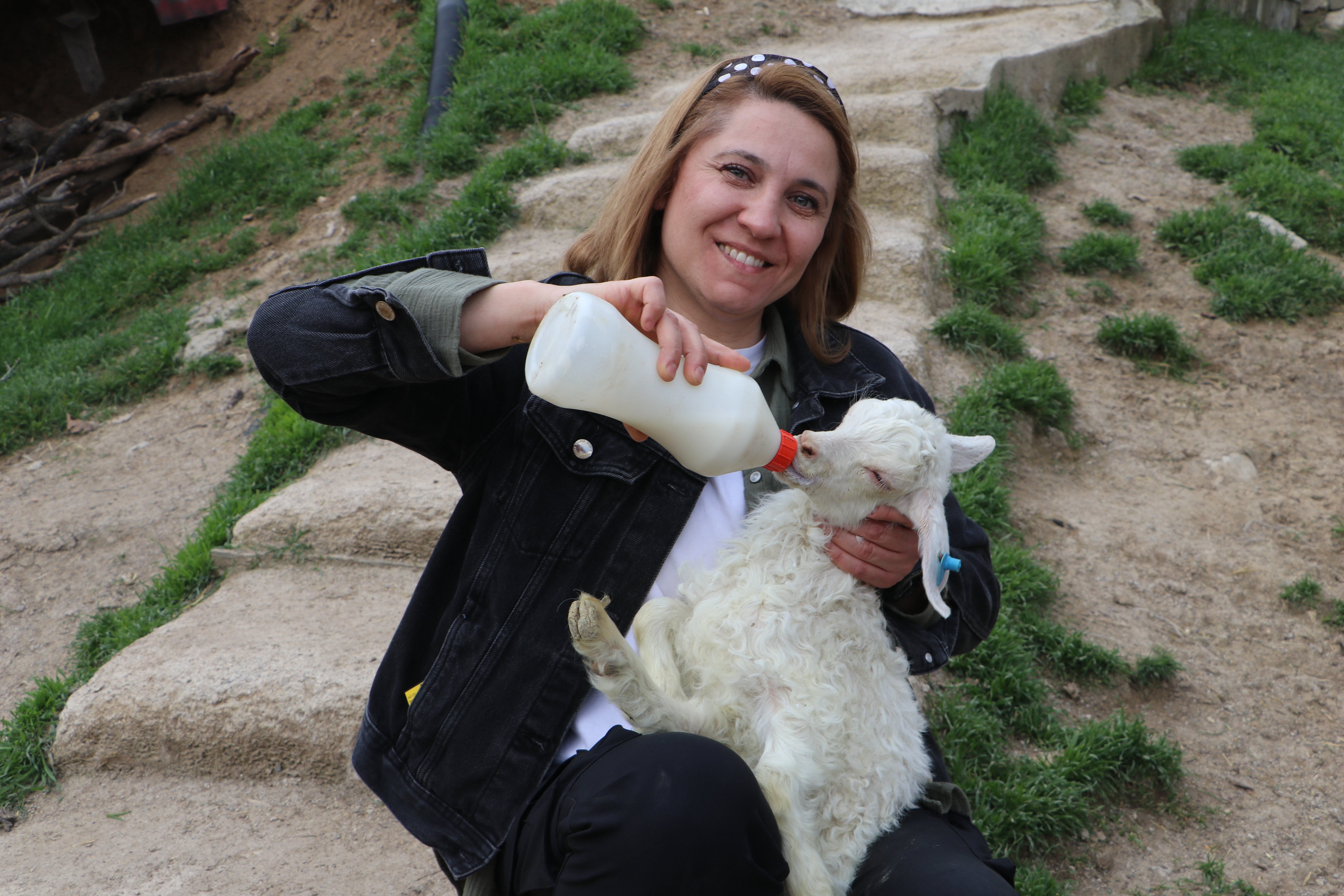 Ankara Keçisi Bakımı