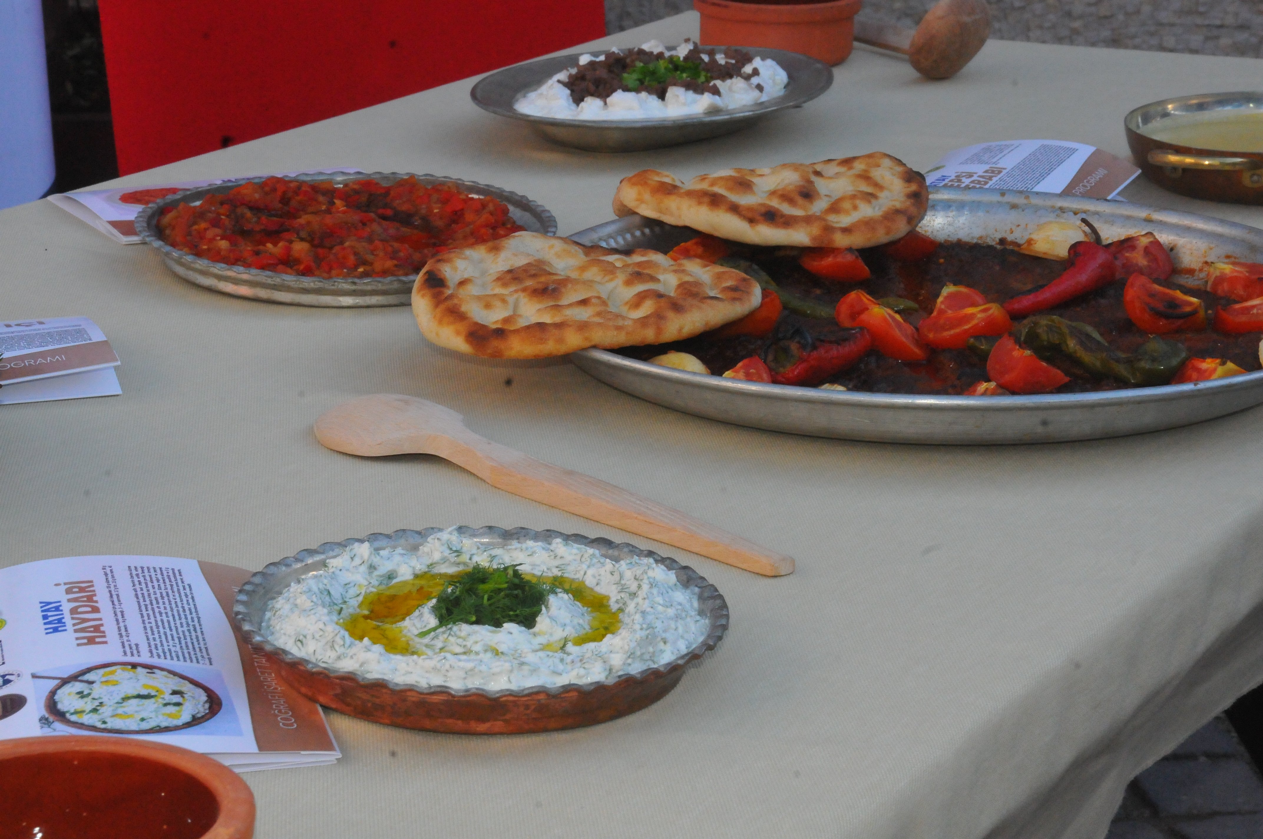 Hatay Valisi Mustafa Masatlı konuşma yapıyor
