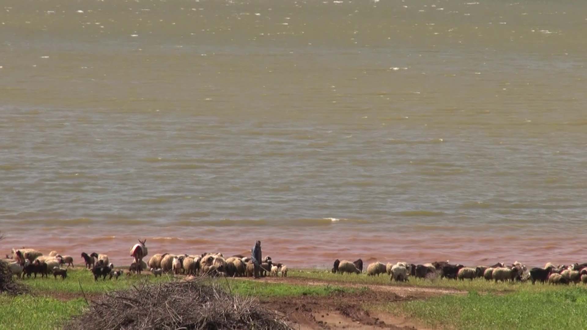 Reyhanlı Ziraat Odası Başkanı Şemsettin Cünedioğlu