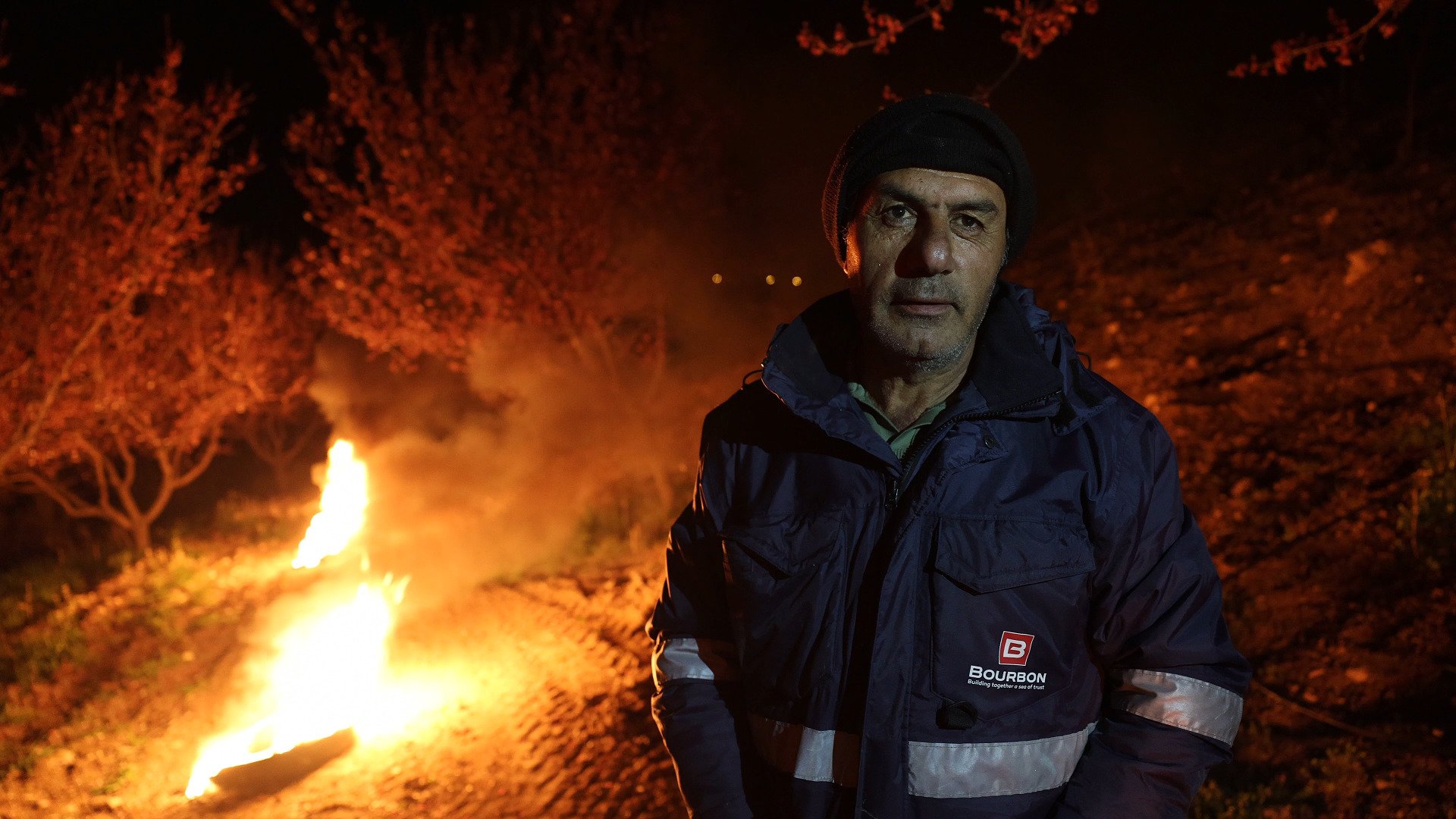 Kayısı ağaçlarında tomurcuklanma dönemi