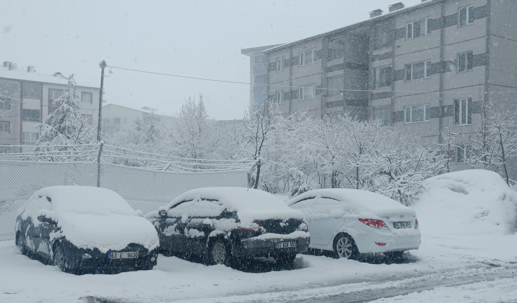 Bitlis kar yağışı ulaşım kapandı