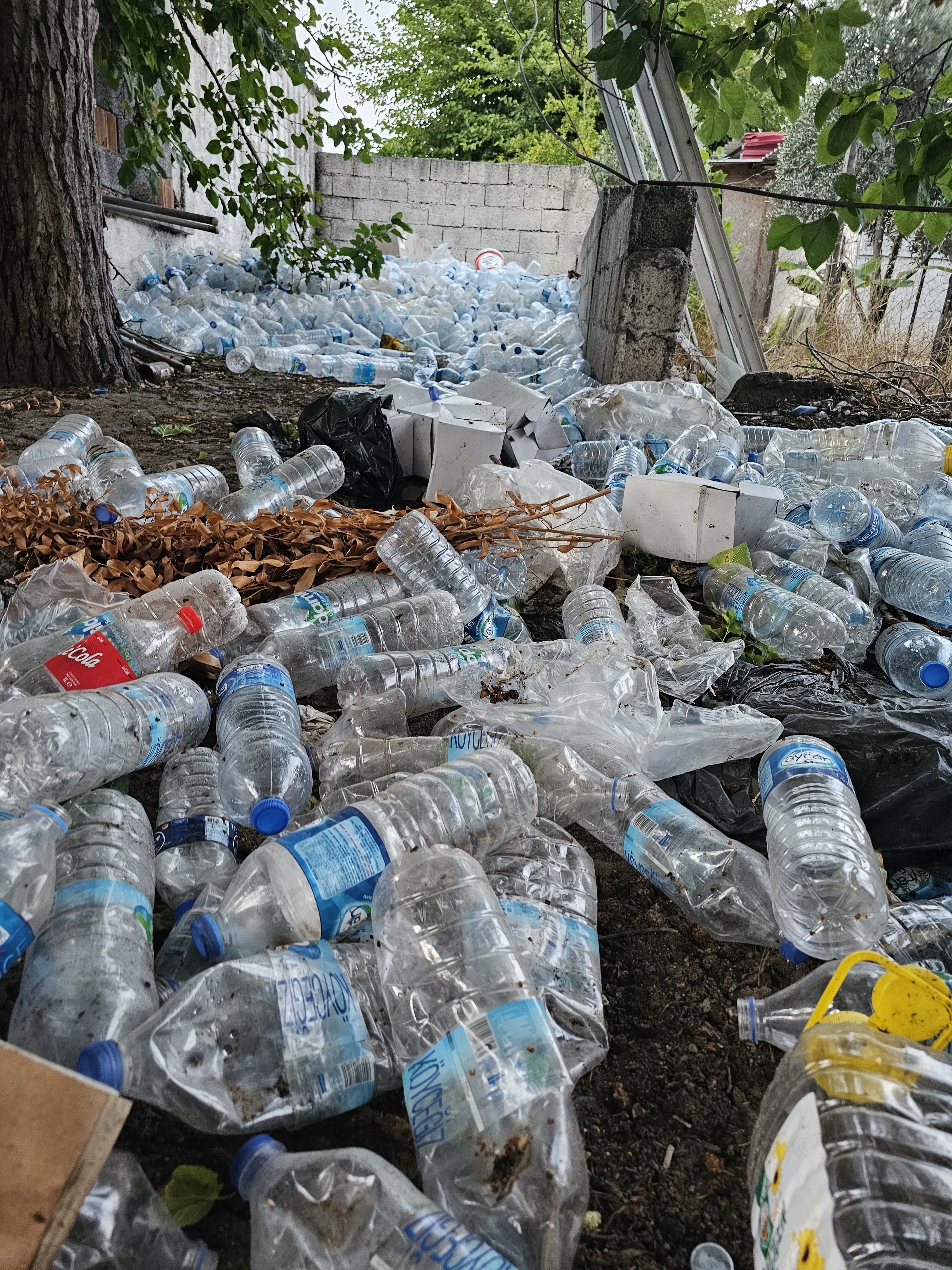 COP31 İklim Zirvesi