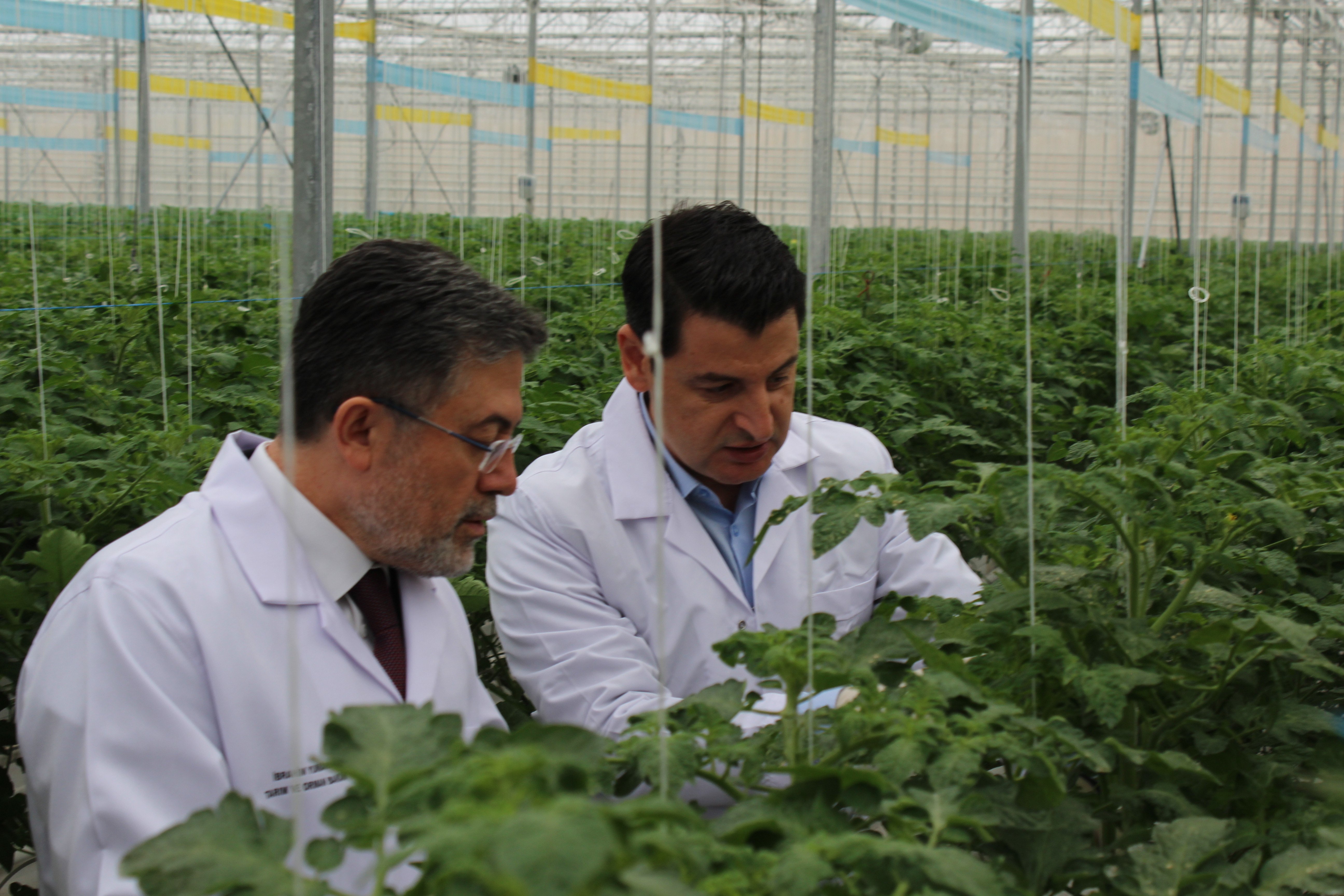 Bakan Yumaklı sera ziyareti