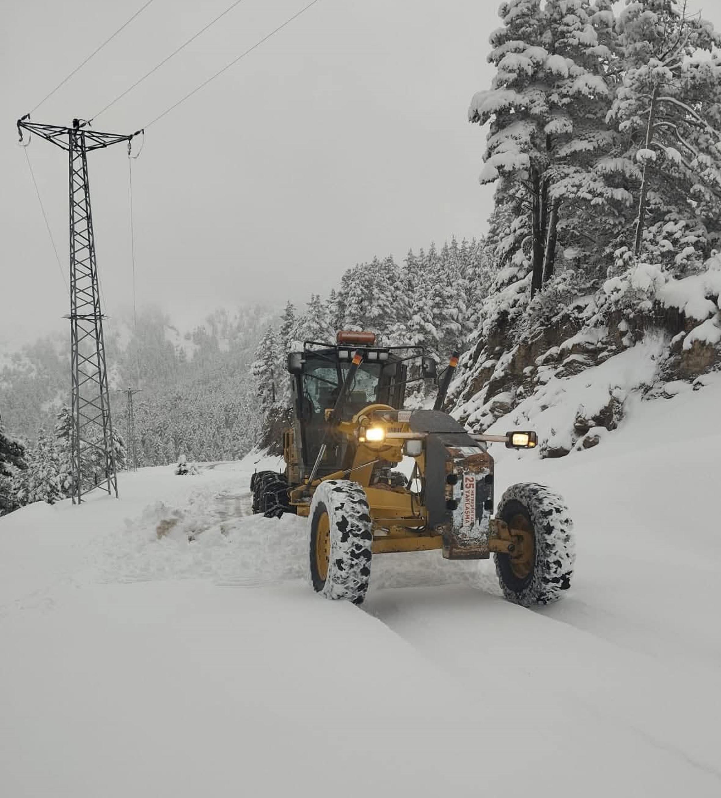 Kars sokak hayvanları kar