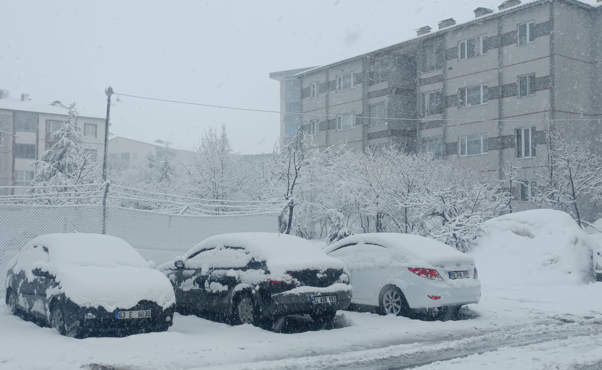Bitlis İl Özel İdaresi kar çalışması