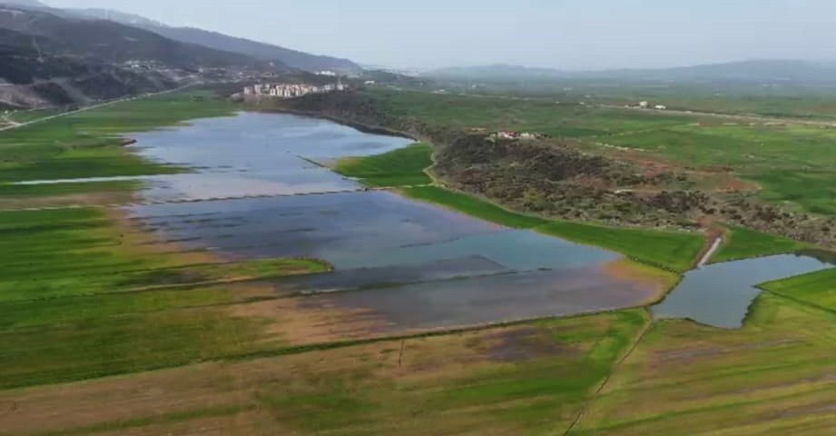 İslahiye tarım felaketi