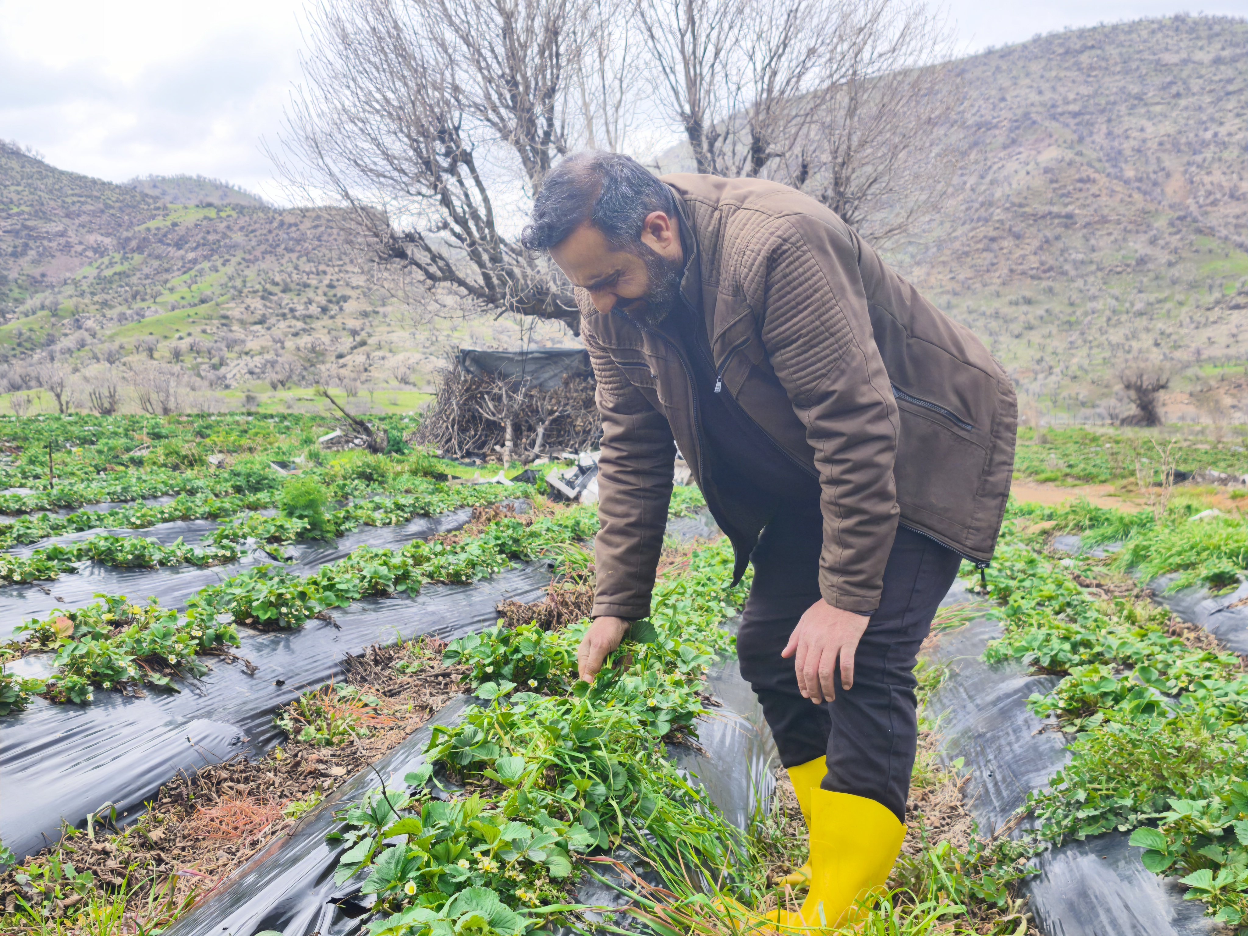 Tarım Bakanı Yumaklı Çiftçilerle