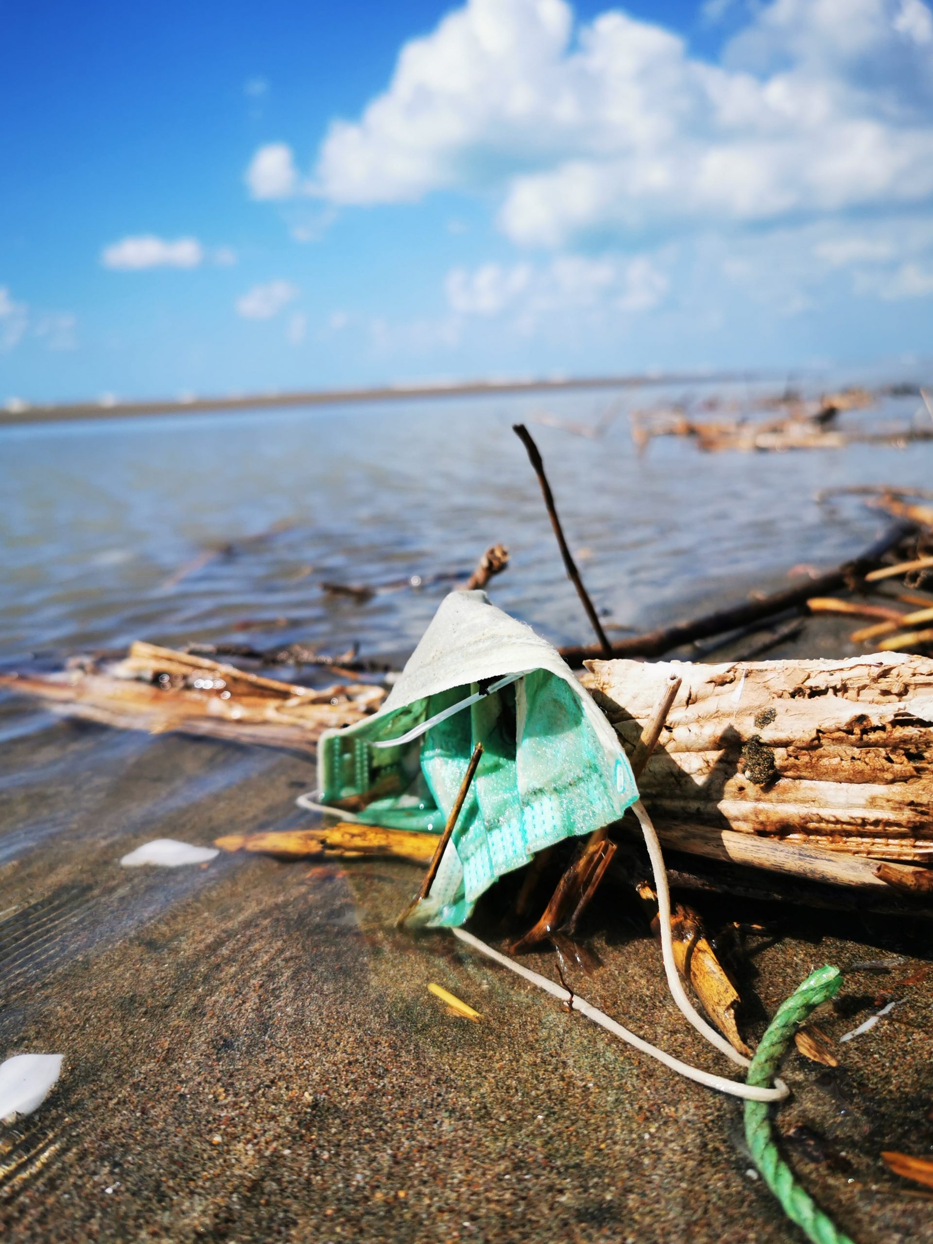 Prof. Dr. Sedat Gündoğdu