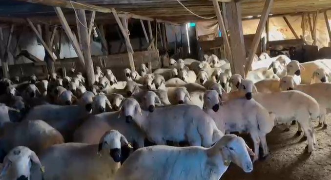 Çorumda mağdur aile üyeleri