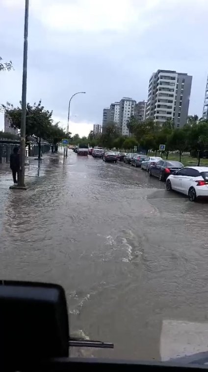 Adana ağaç devrilmesi