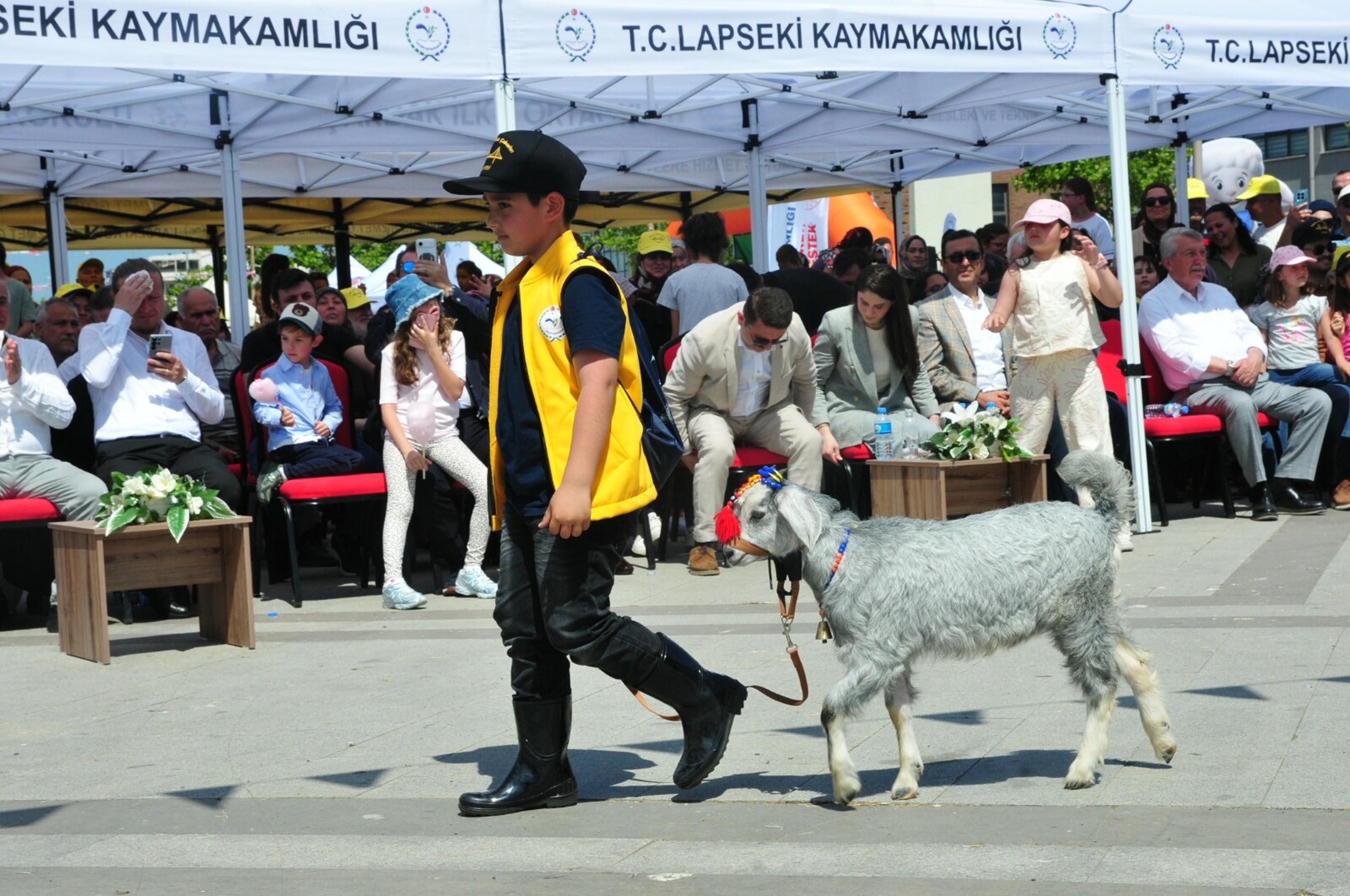 Boğazın Minik Çobanları yarışması ödül