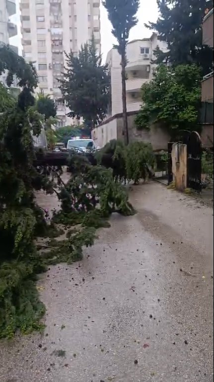 Adana vatandaşlar