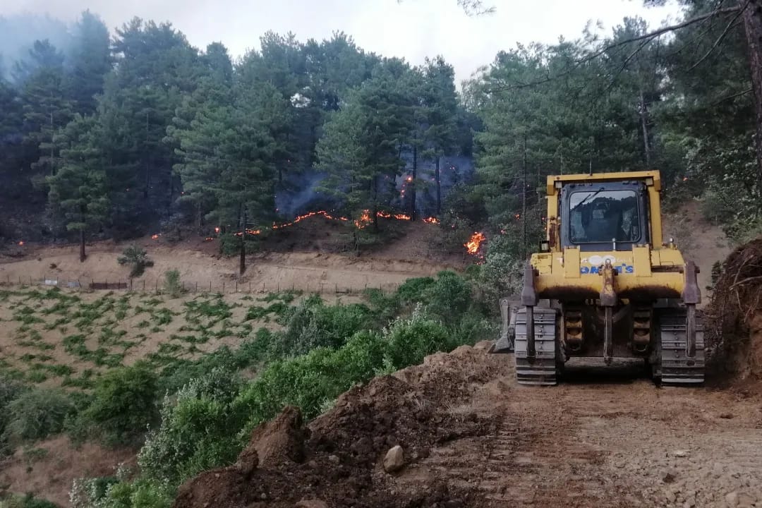 taksirle orman yangını cezası