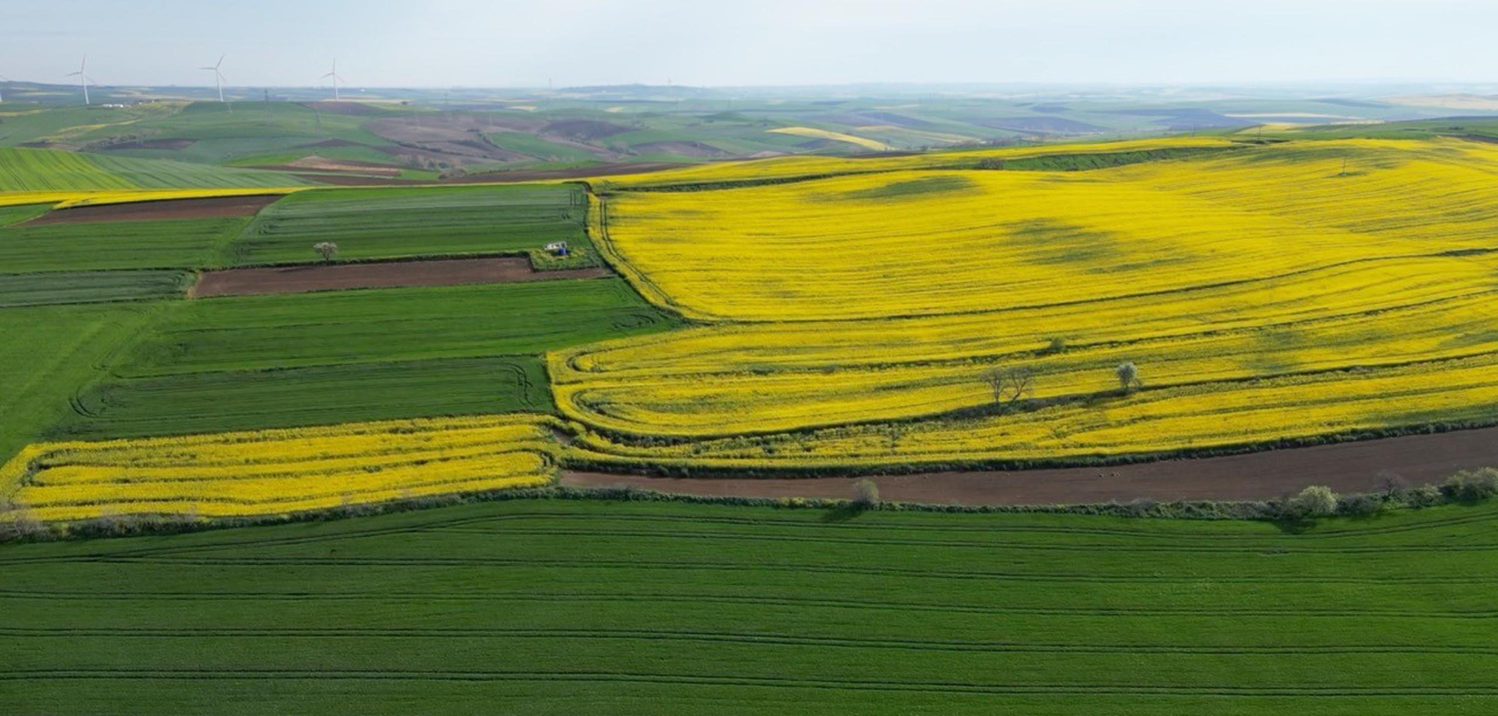 Tekirdağ