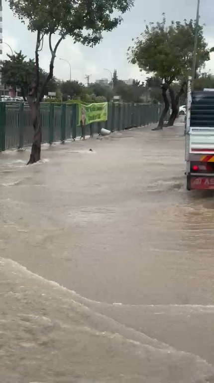 Adana ağaç araç hasarı