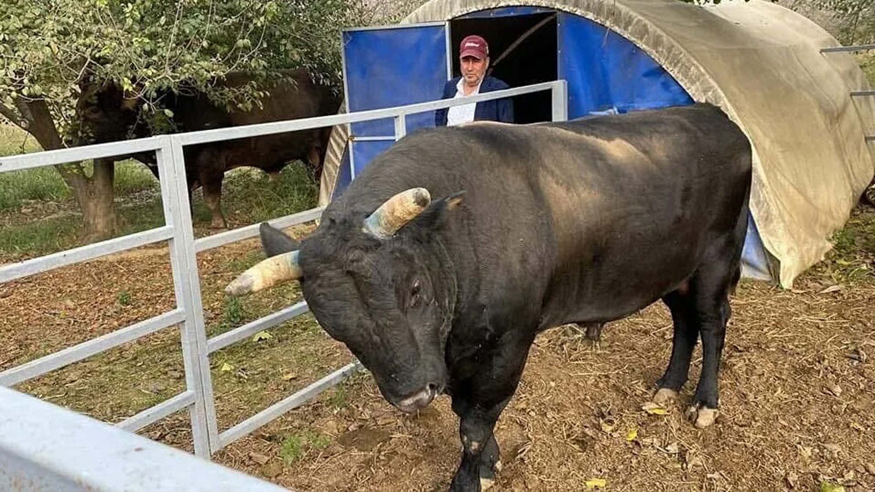 Mevlüt Bacaksız cenazesi