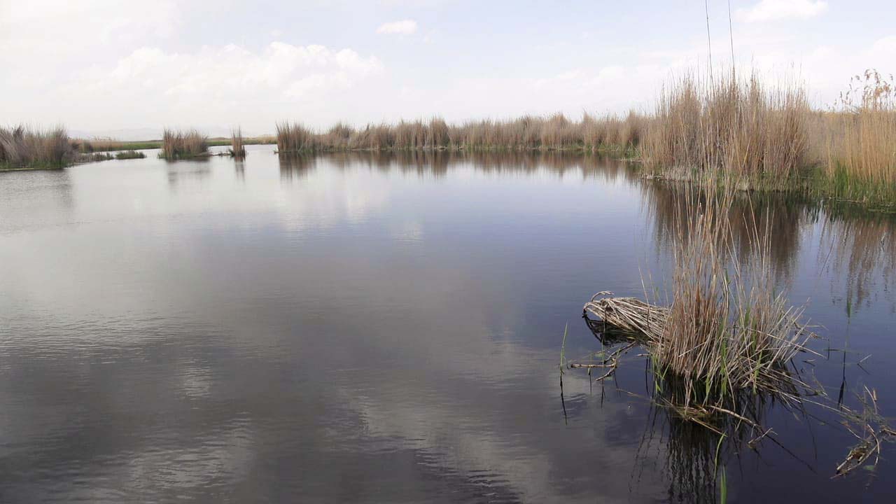 Sultan Sazlığı