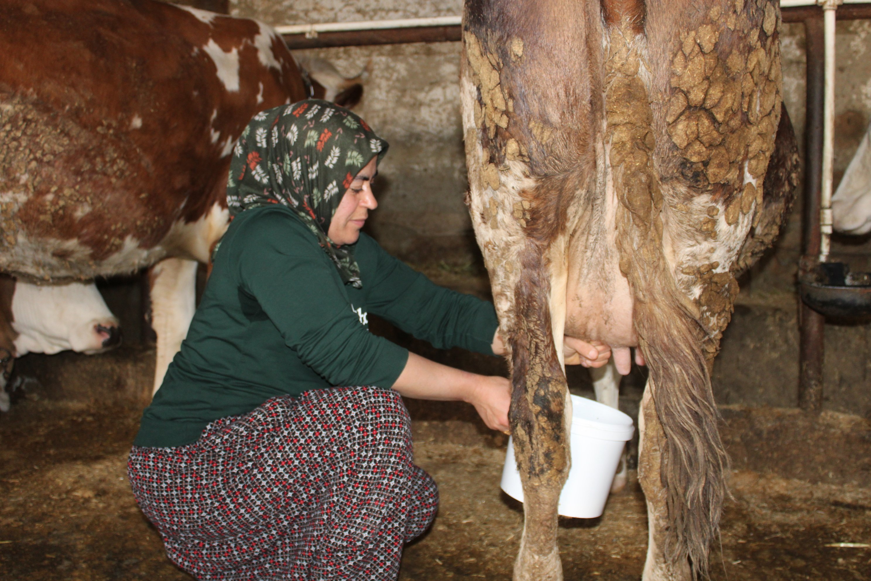 Kooperatifte üretim yapan kadınlar