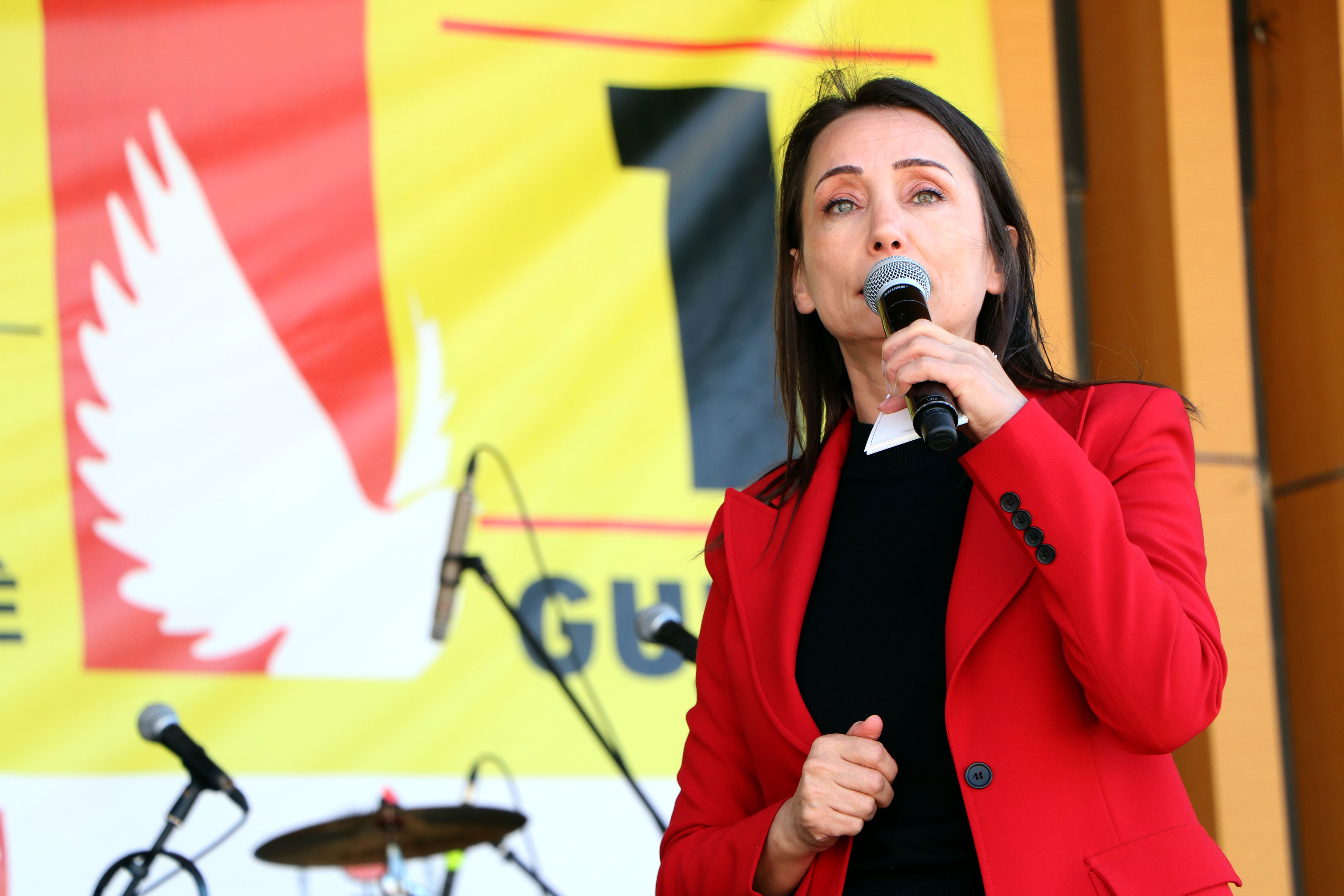 Tülay Hatimoğulları Van Mitingi