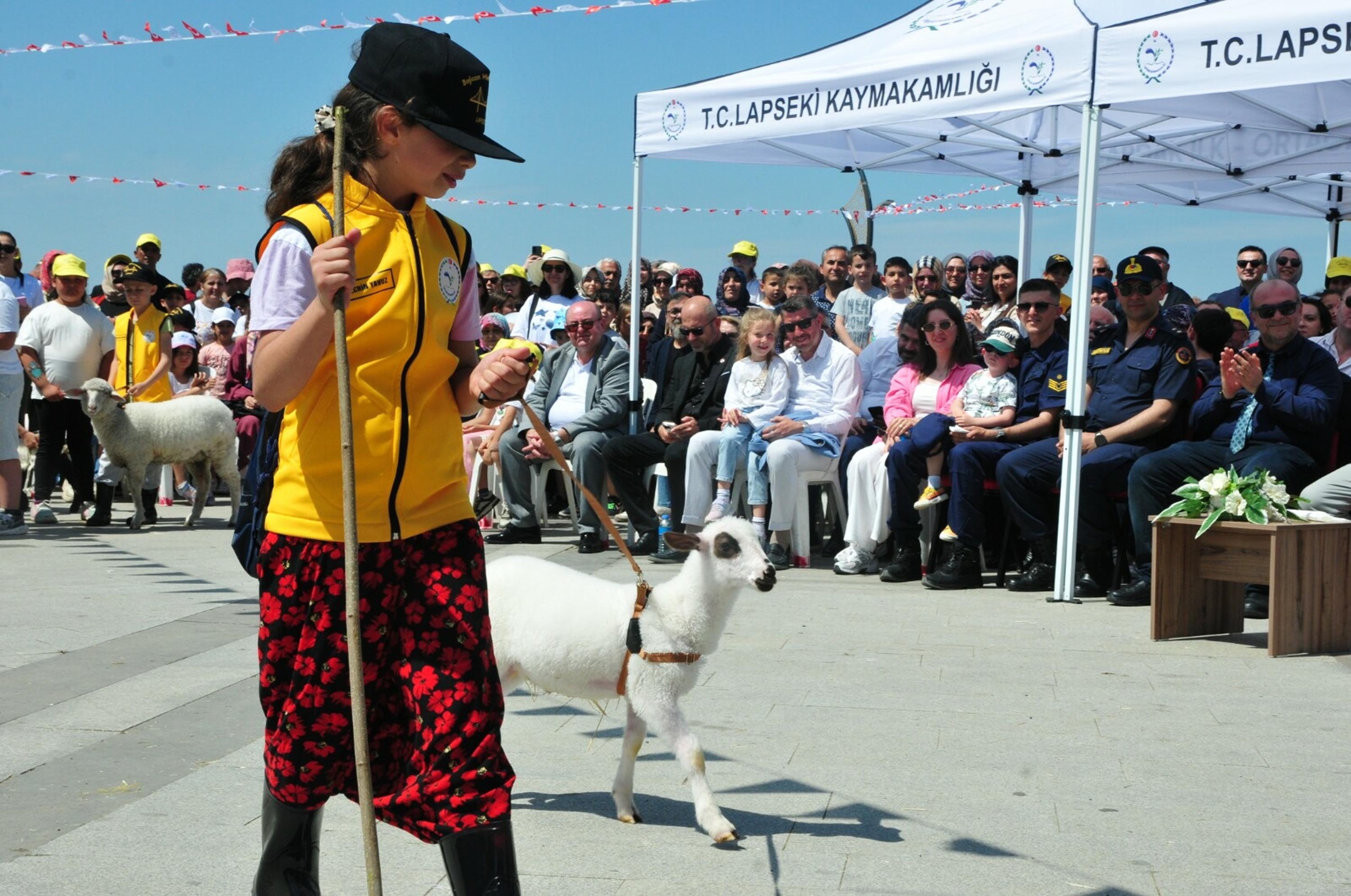 Çanakkale yarışması