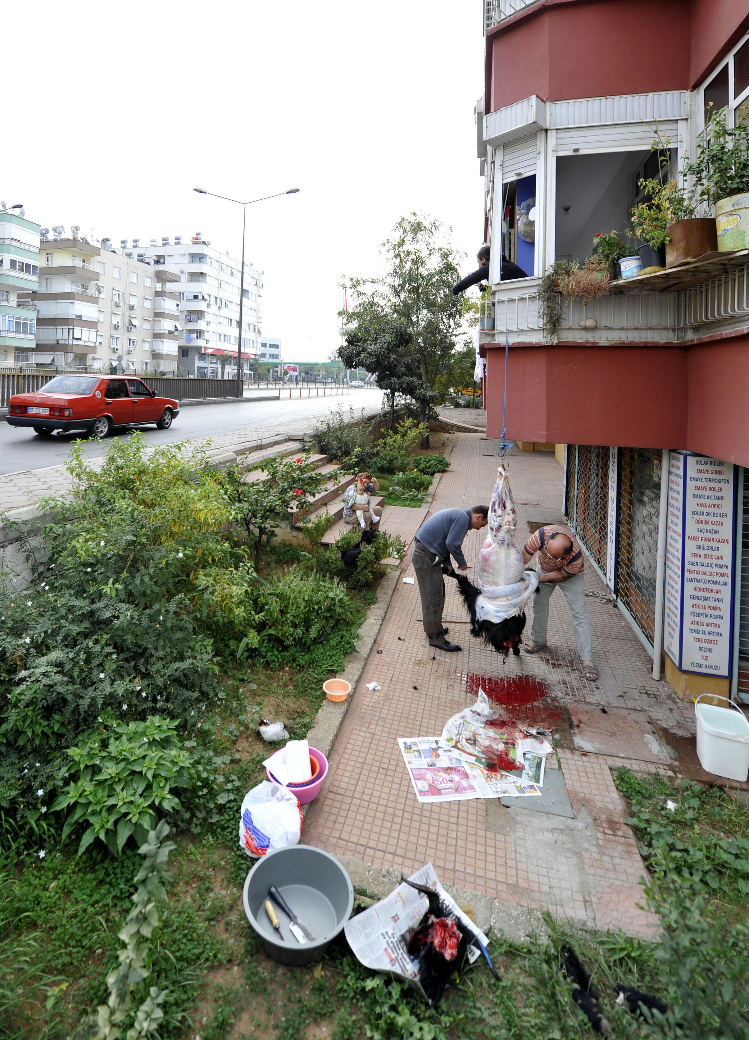 Kurban atıkları cezası