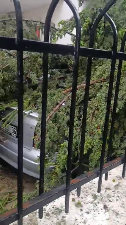 Adana dolu yağışı