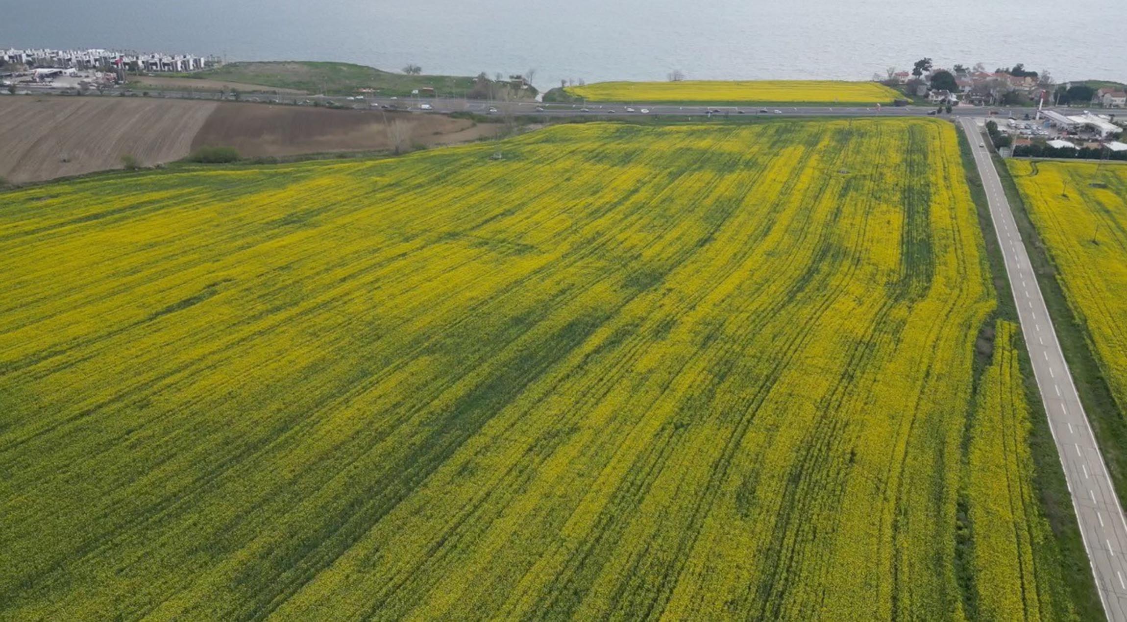 Tekirdağ tarım arazileri