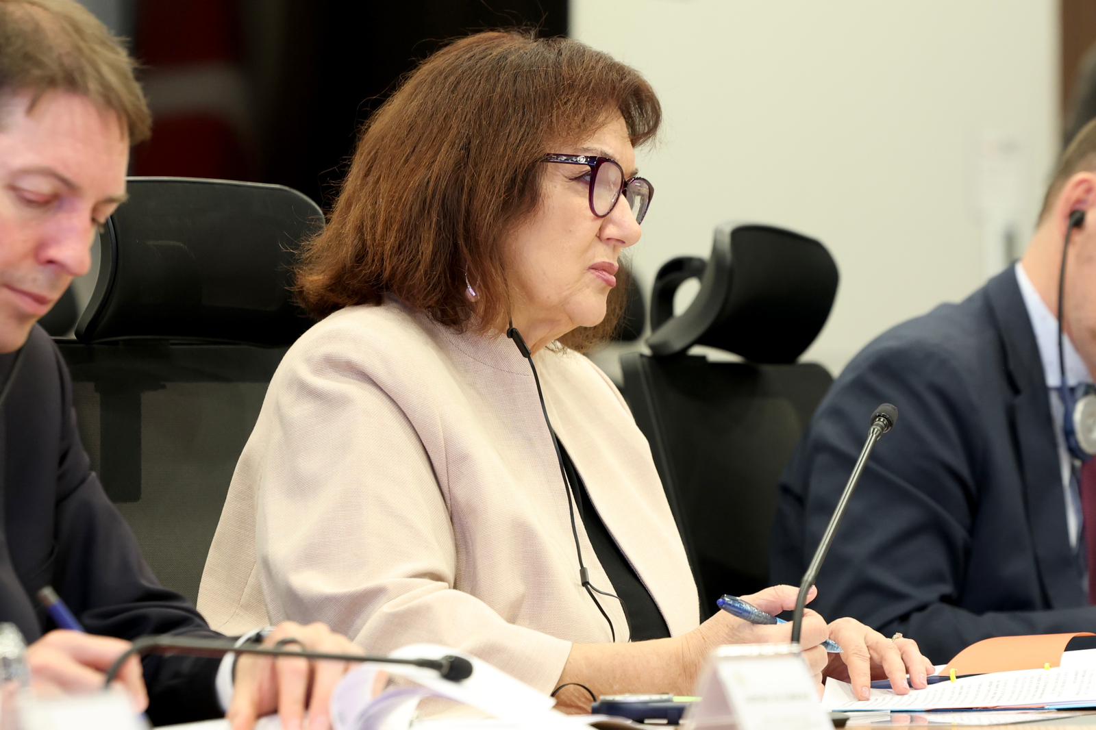 Dubravka Suica ve Mustafa Çiftçi toplantı fotoğrafı