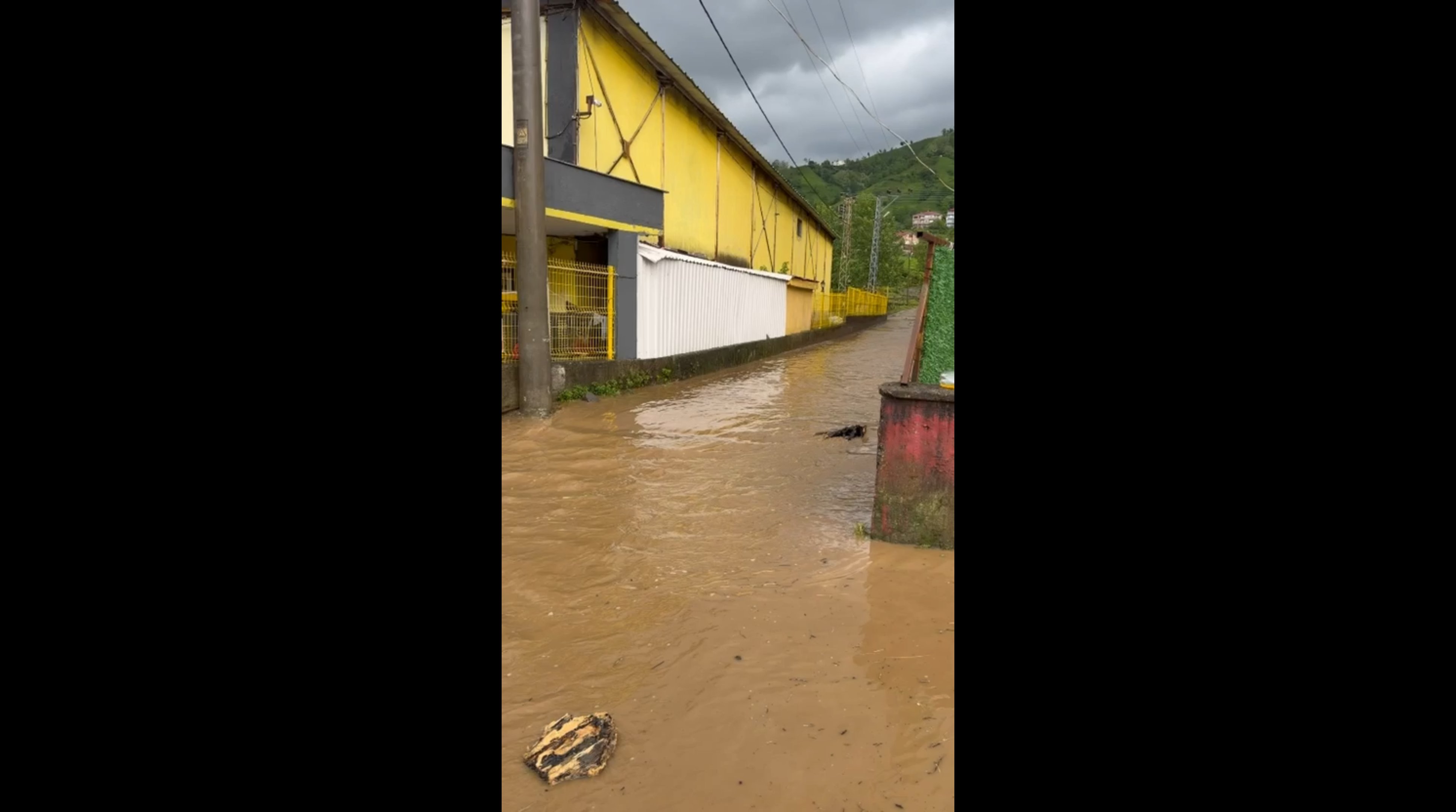 Rize Pazar sağanak su baskını
